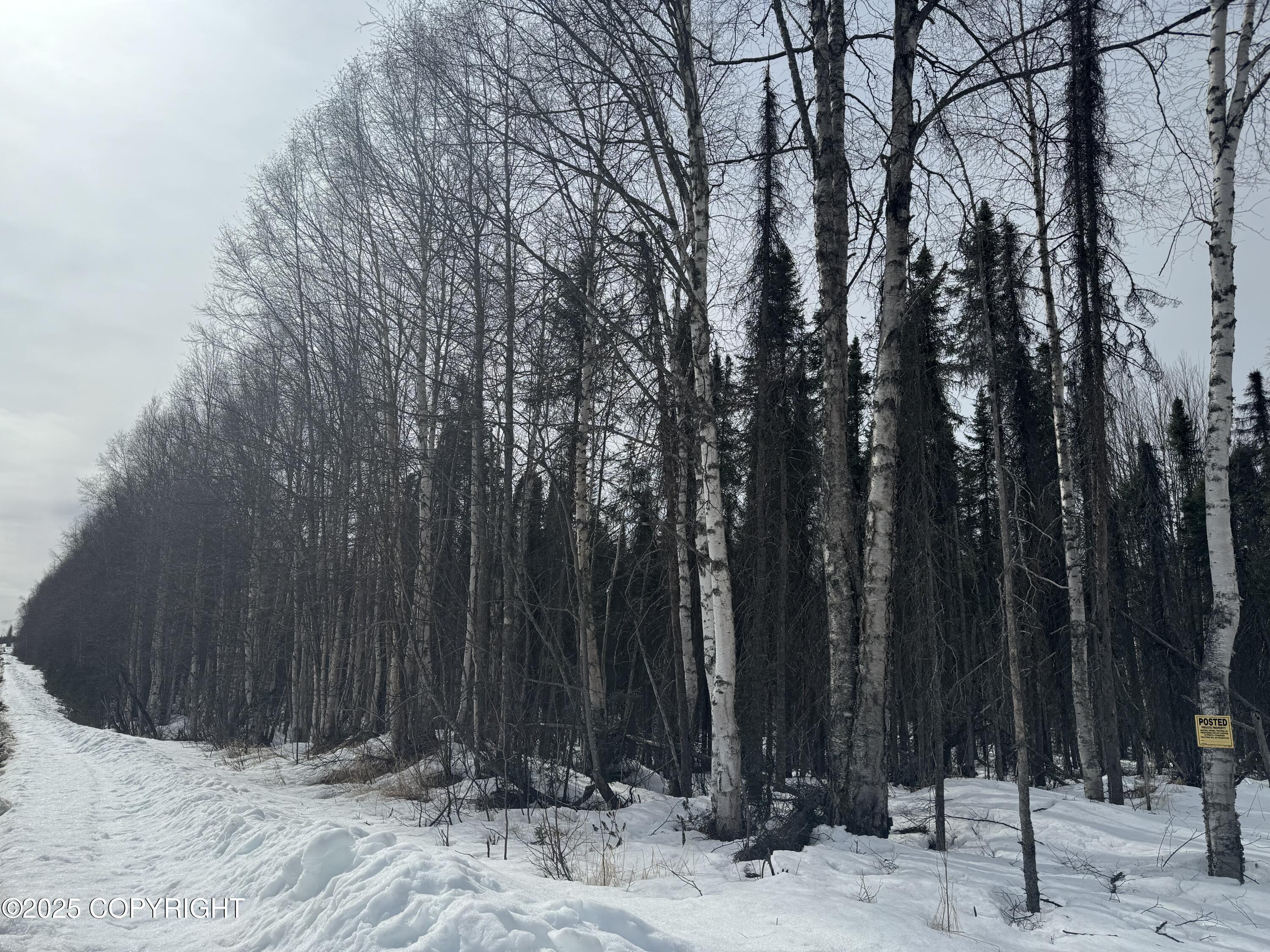 32210 S Mckinley View Drive, Talkeetna, Alaska image 1
