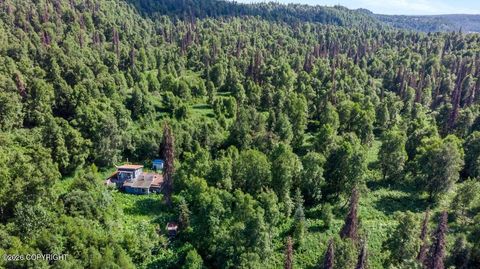 Vacant Land For Sale - 2187 N Parks Highway<br/> Trapper Creek, AK 99683