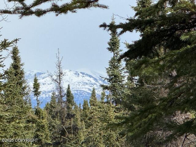33120 Flycatcher Avenue, Soldotna, Alaska image 3