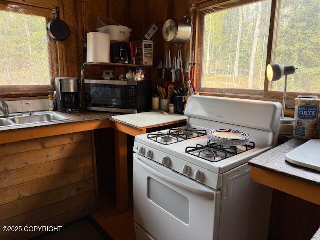 Soldotna, Alaska 99669, United States, 1 Bedroom Bedrooms, ,1 BathroomBathrooms,Residential,Active,116032