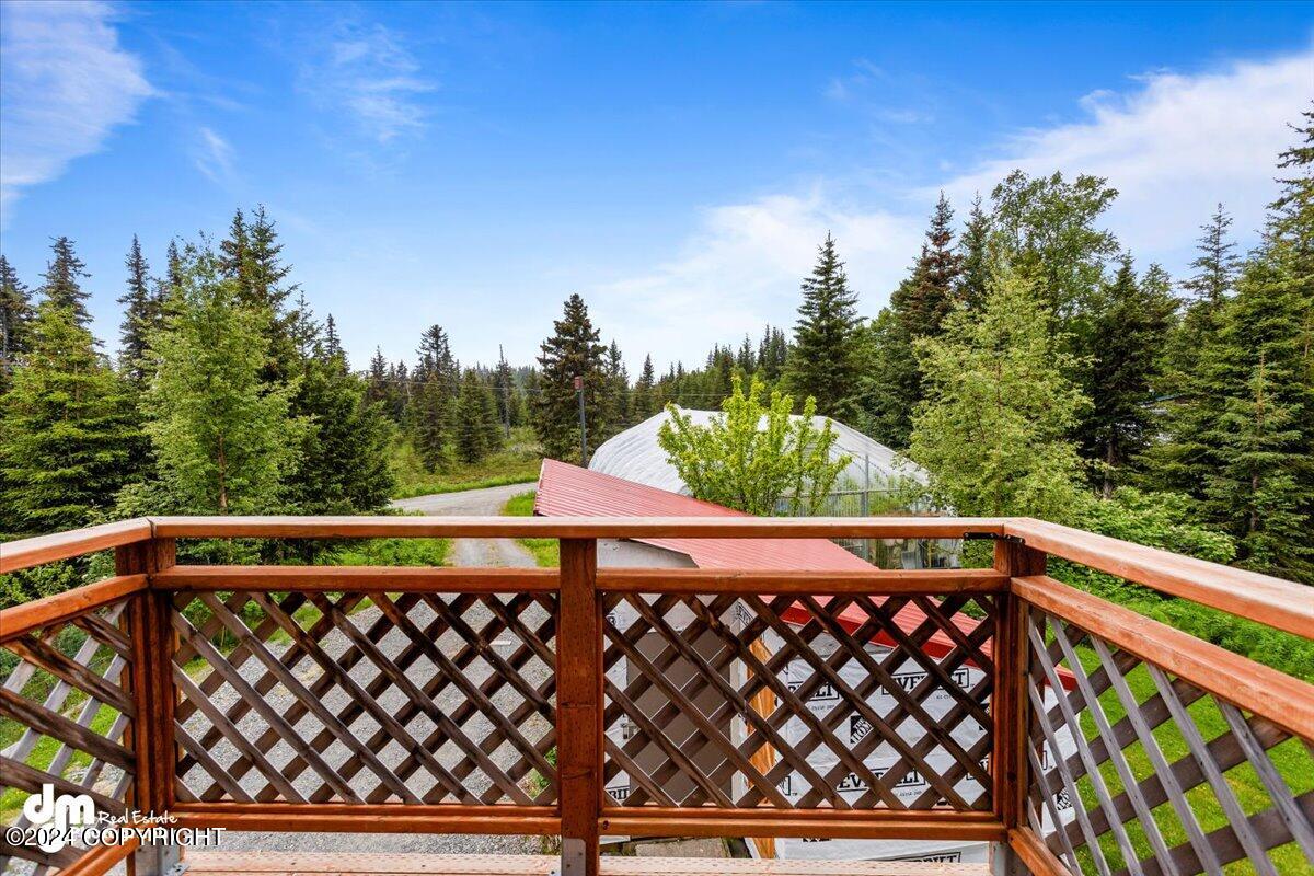 69646 Rollins Way, Anchor Point, Alaska image 43