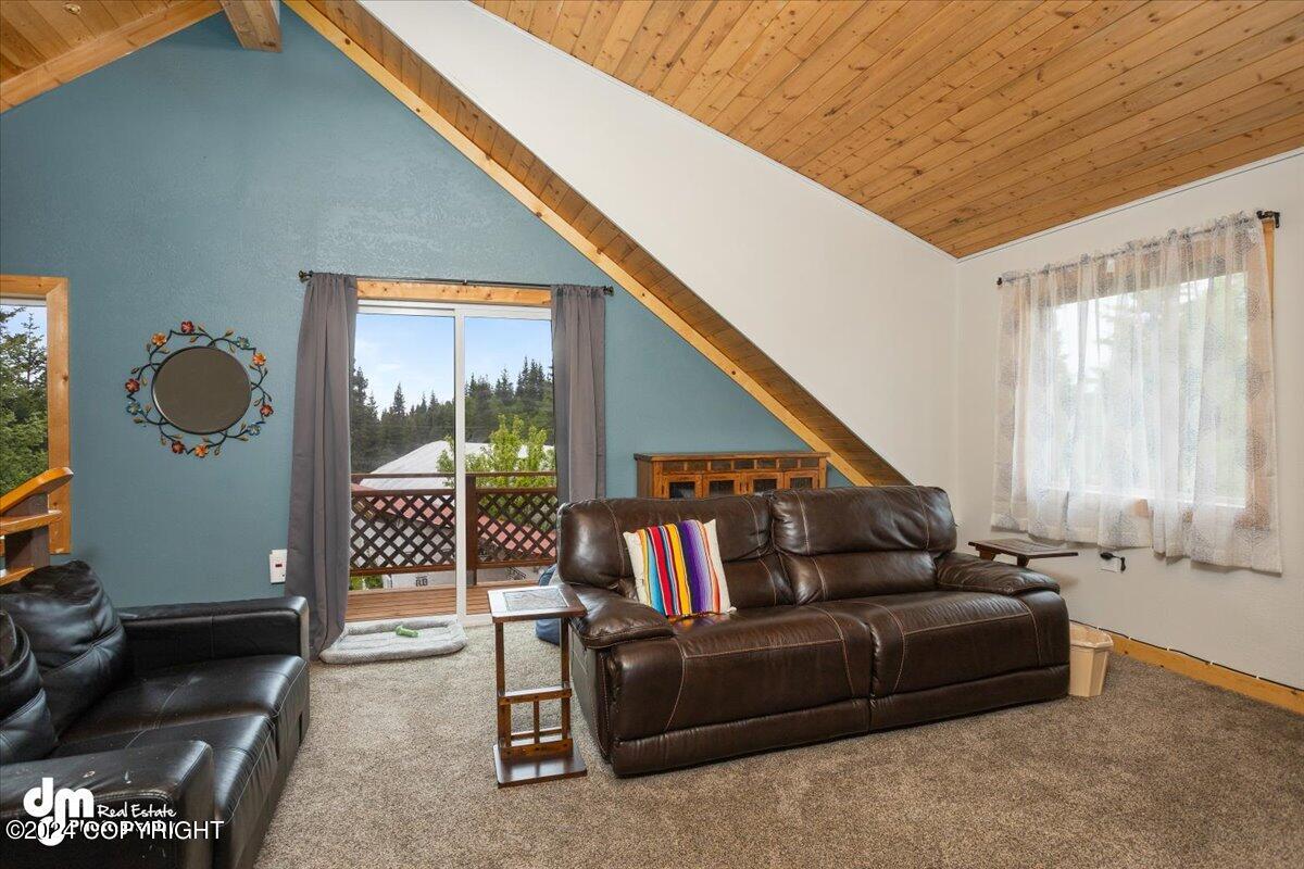 69646 Rollins Way, Anchor Point, Alaska image 24