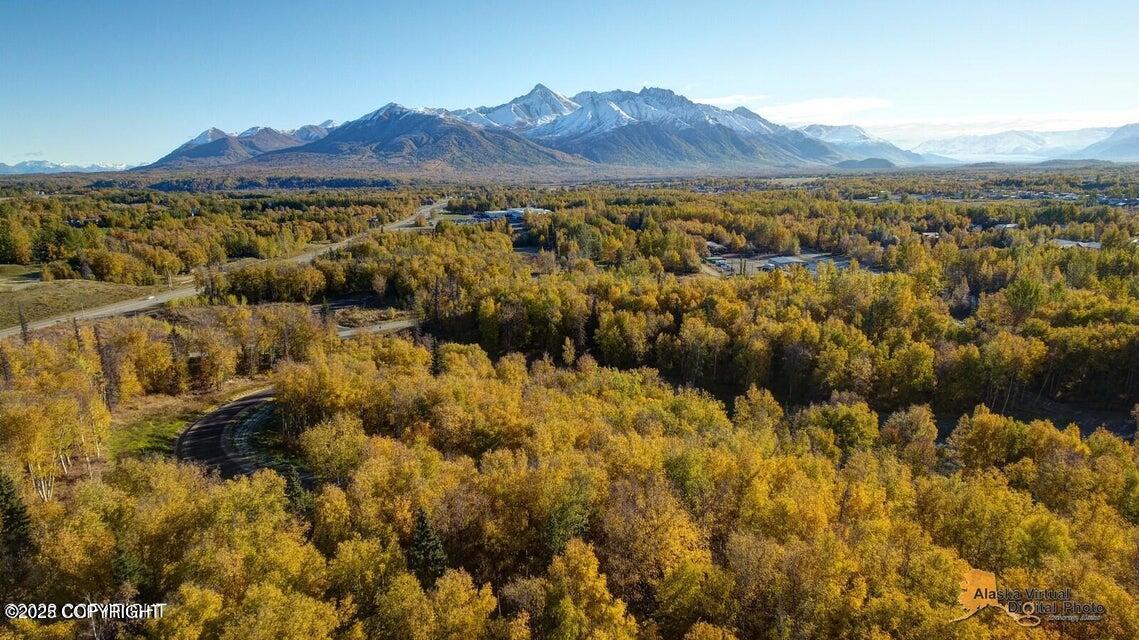 2267 N Dalmore Circle, Palmer, Alaska image 3