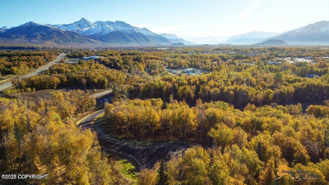 2267 N Dalmore Circle, Palmer, Alaska image 35