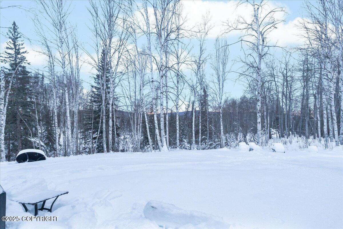 1688 N Goldbearing Court, Fairbanks, Alaska image 30