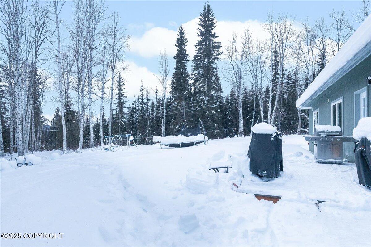 1688 N Goldbearing Court, Fairbanks, Alaska image 24