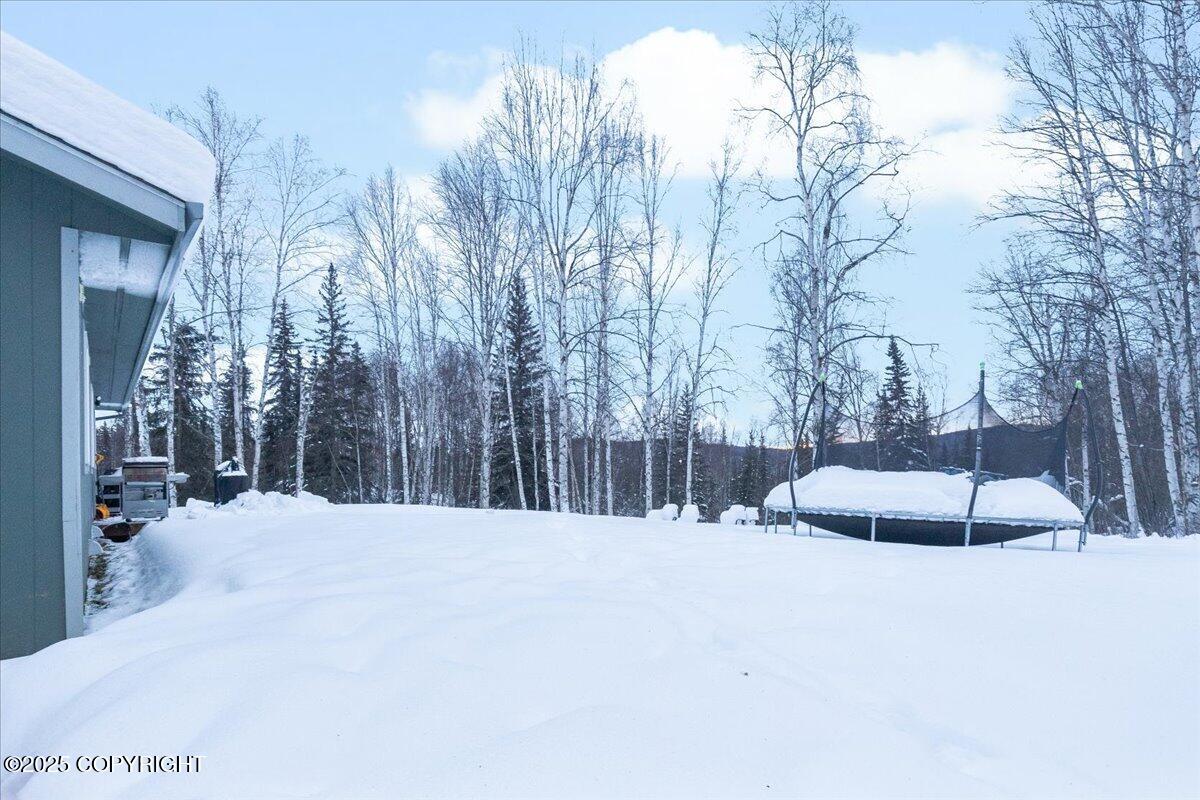 1688 N Goldbearing Court, Fairbanks, Alaska image 27