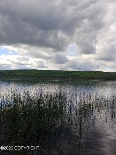 Photo of 000 Lydia Lane, Manley Hot Springs, AK 99000 (MLS # 26-5794)