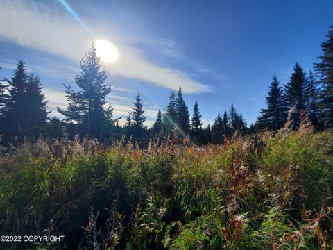 Vacant Land For Sale - 67717 Shavila Road<br/> Ninilchik, AK 99639