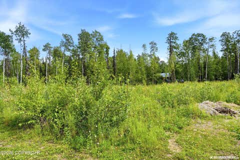 Photo of 24681 W Sunnyslope Way, Willow, AK 99688 (MLS # 26-10721)