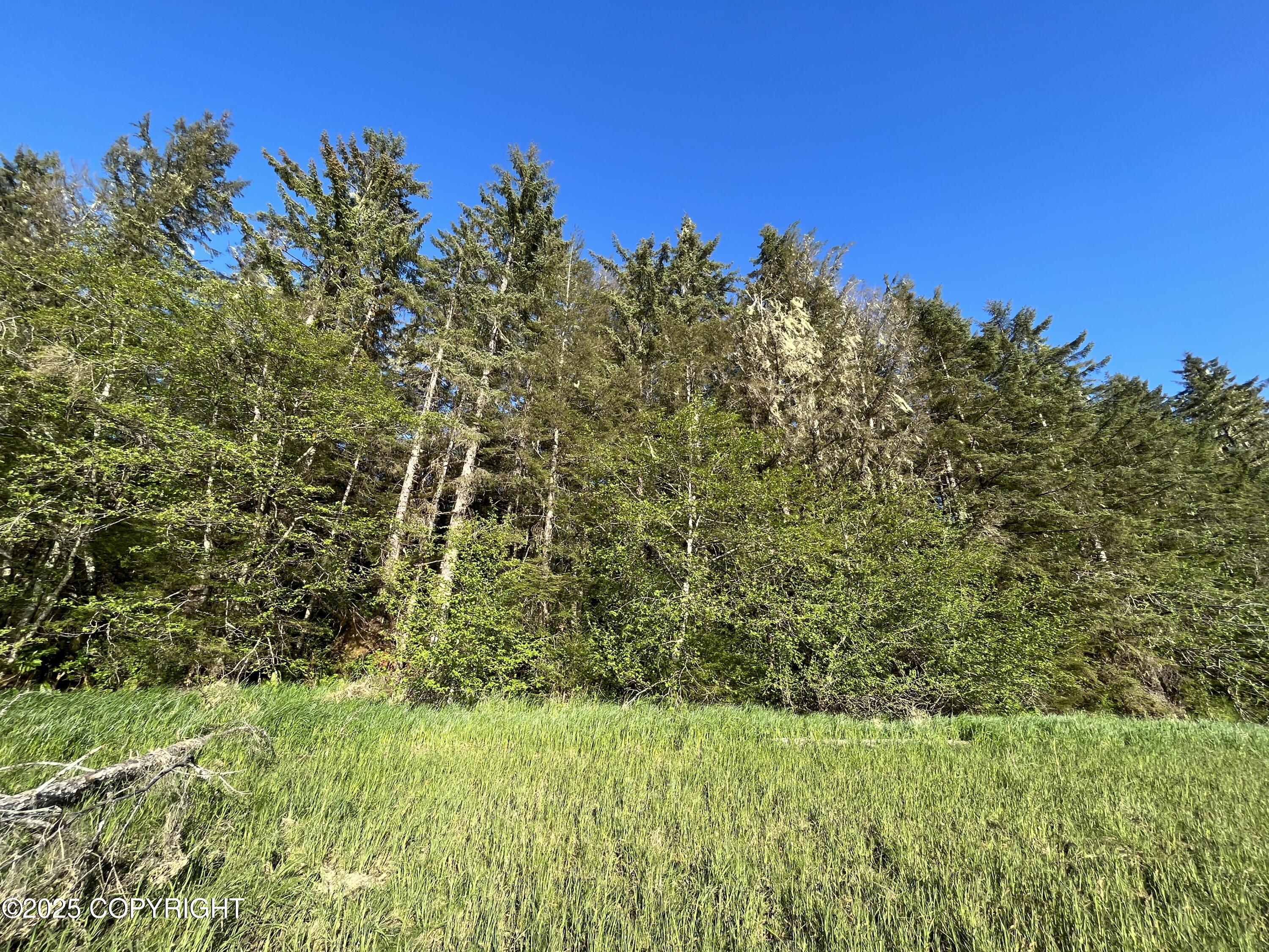 54 Blueberry Lane Rd, Petersburg, Alaska image 4