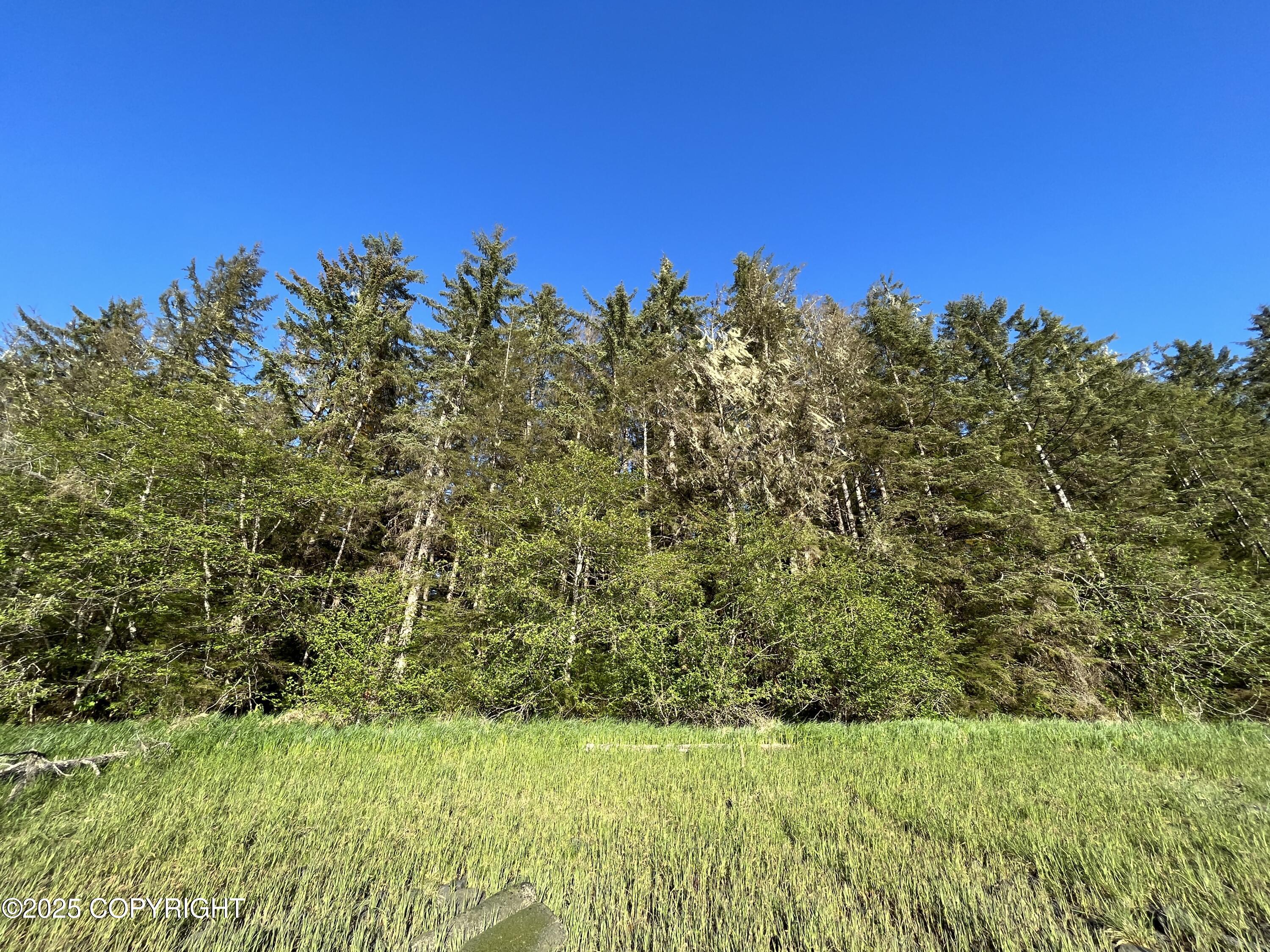 54 Blueberry Lane Rd, Petersburg, Alaska image 6