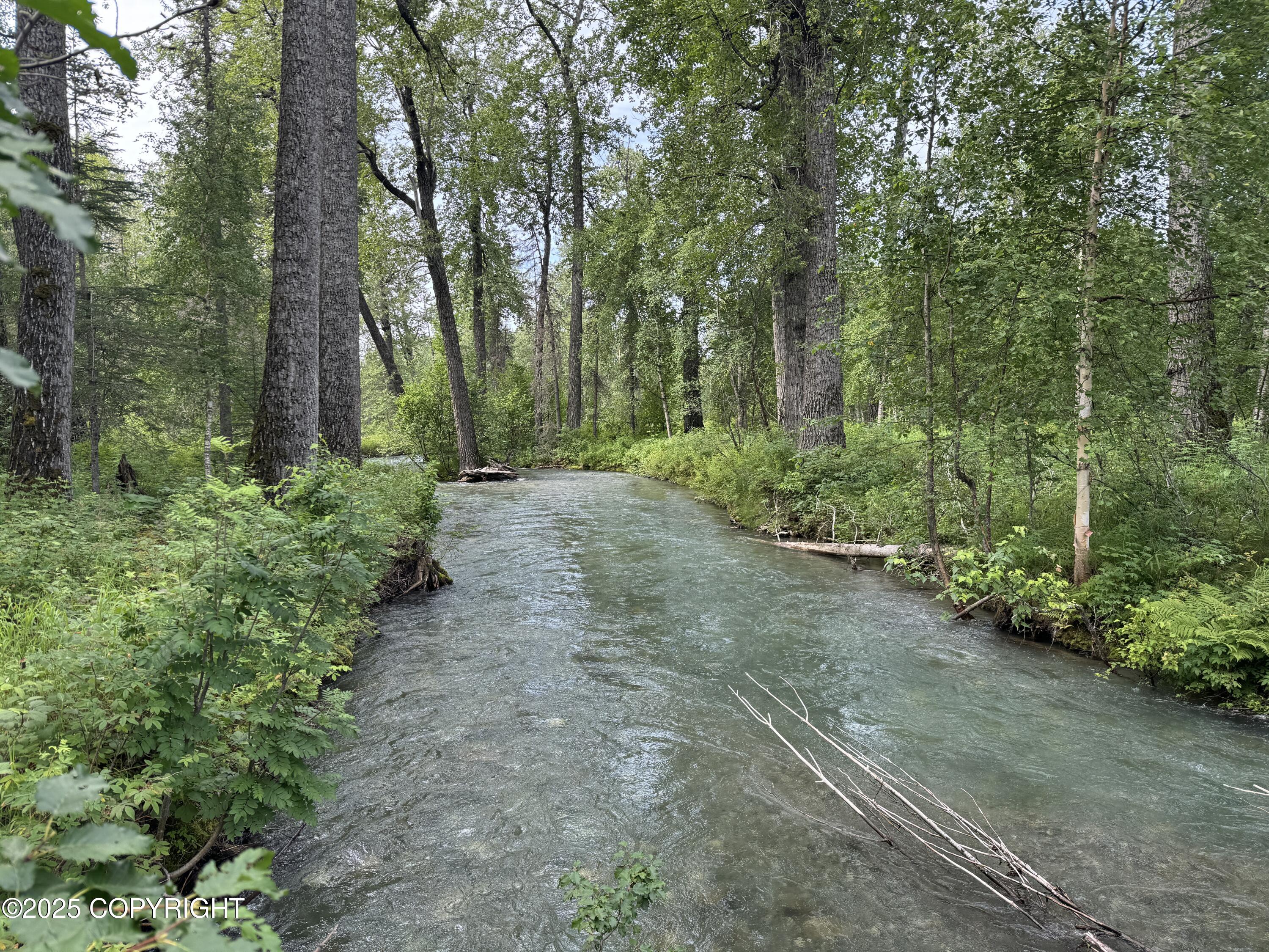 L5 B1 Little Susitna Park, Wasilla, Alaska image 45