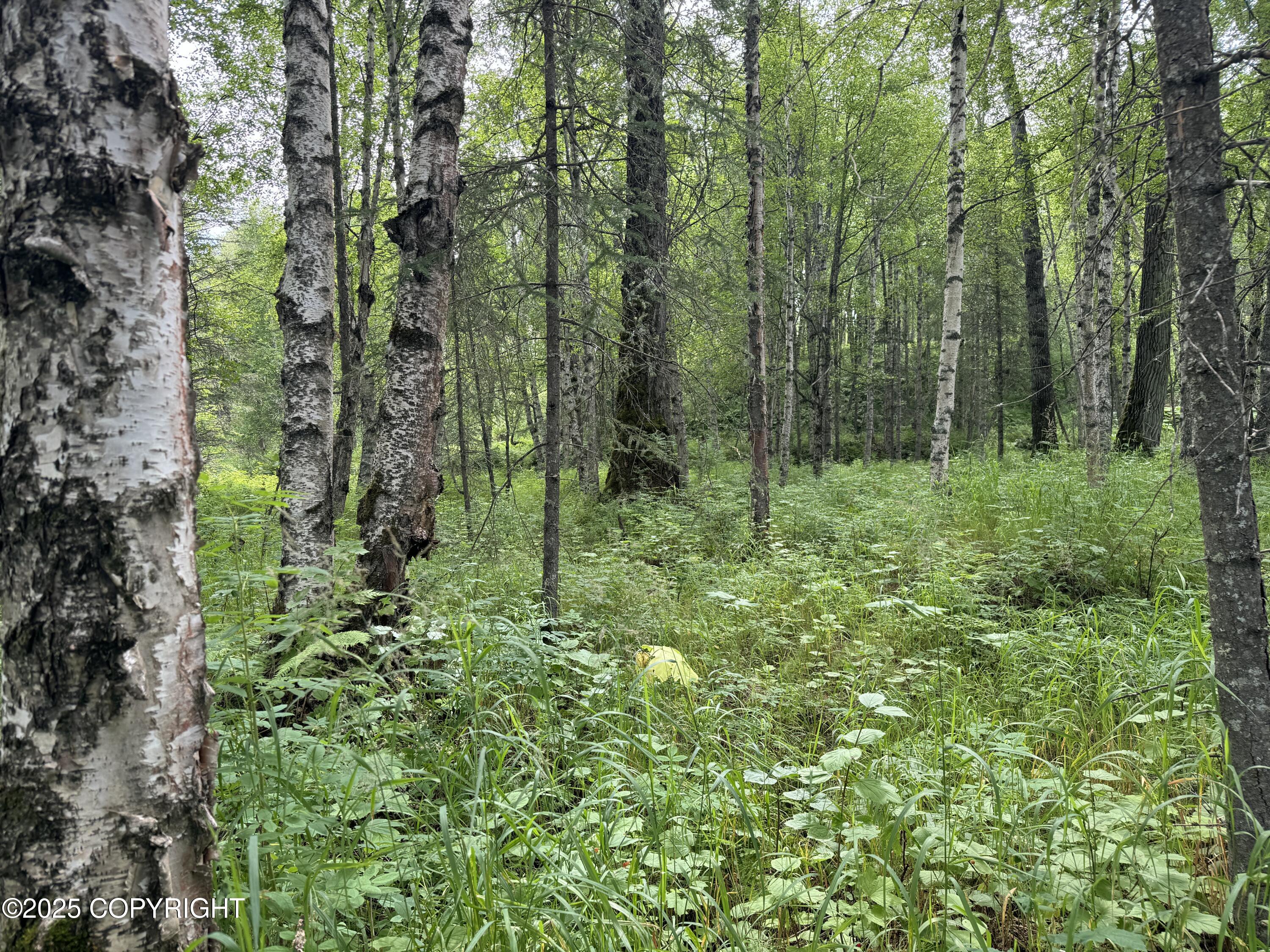 L5 B1 Little Susitna Park, Wasilla, Alaska image 47