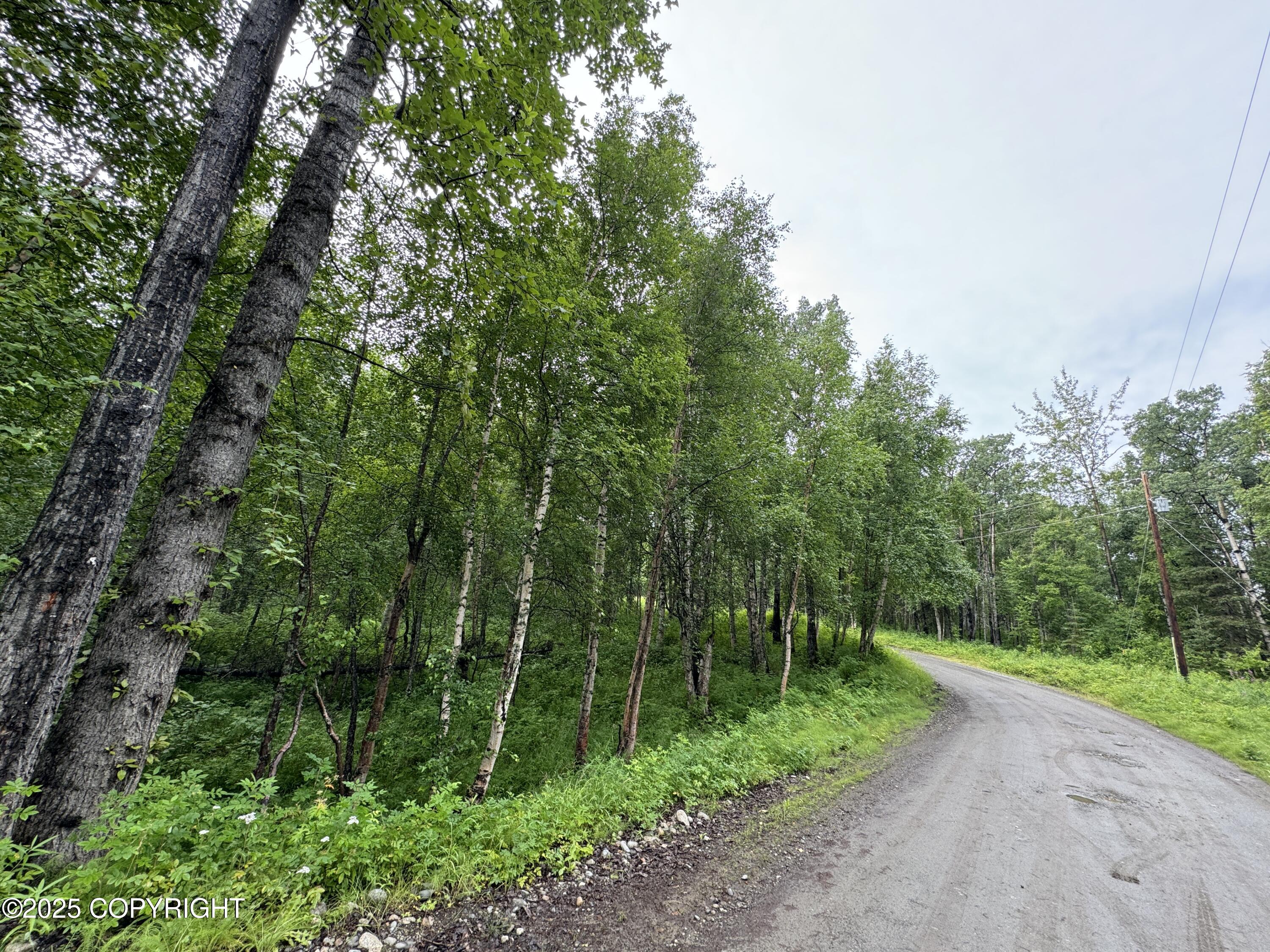 L5 B1 Little Susitna Park, Wasilla, Alaska image 34