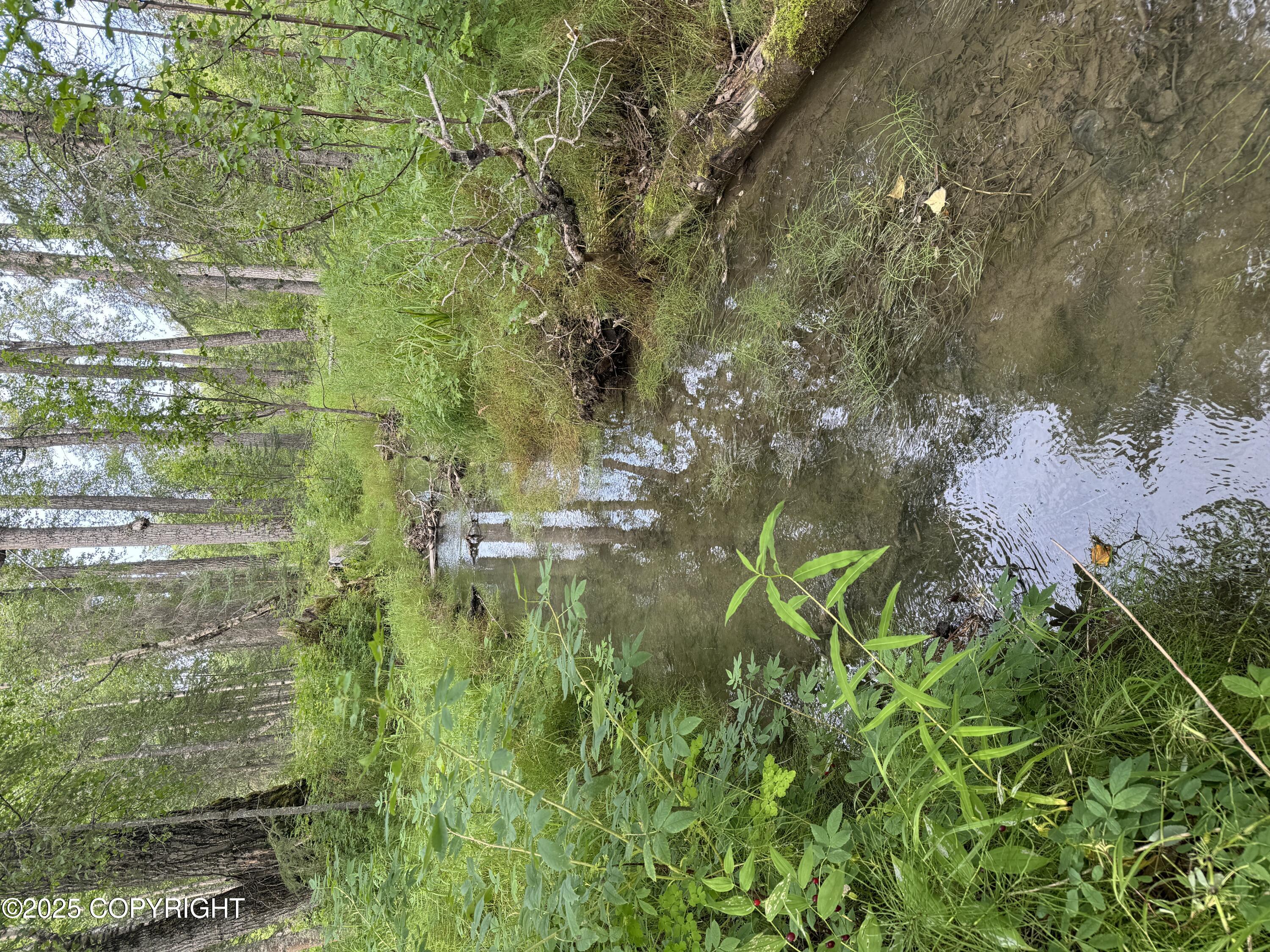 L5 B1 Little Susitna Park, Wasilla, Alaska image 35