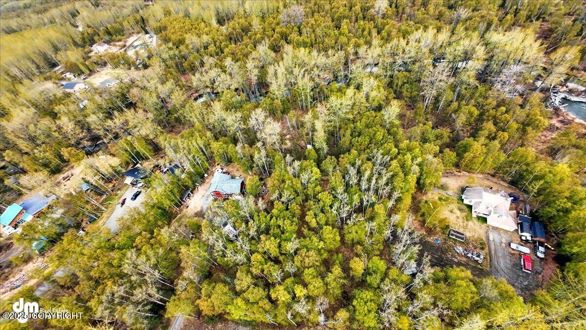 L5 B1 Little Susitna Park, Wasilla, Alaska image 7