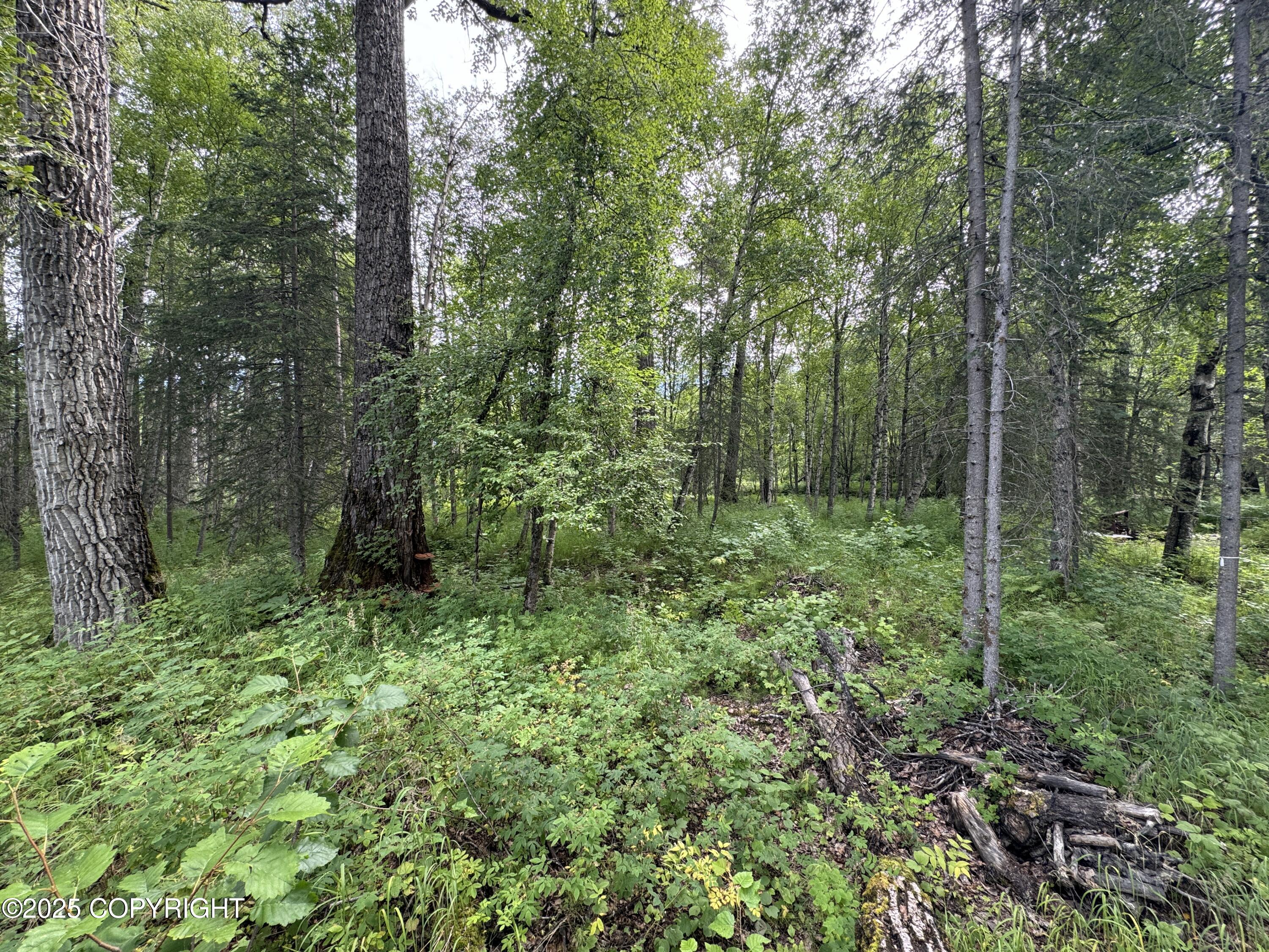 L5 B1 Little Susitna Park, Wasilla, Alaska image 46
