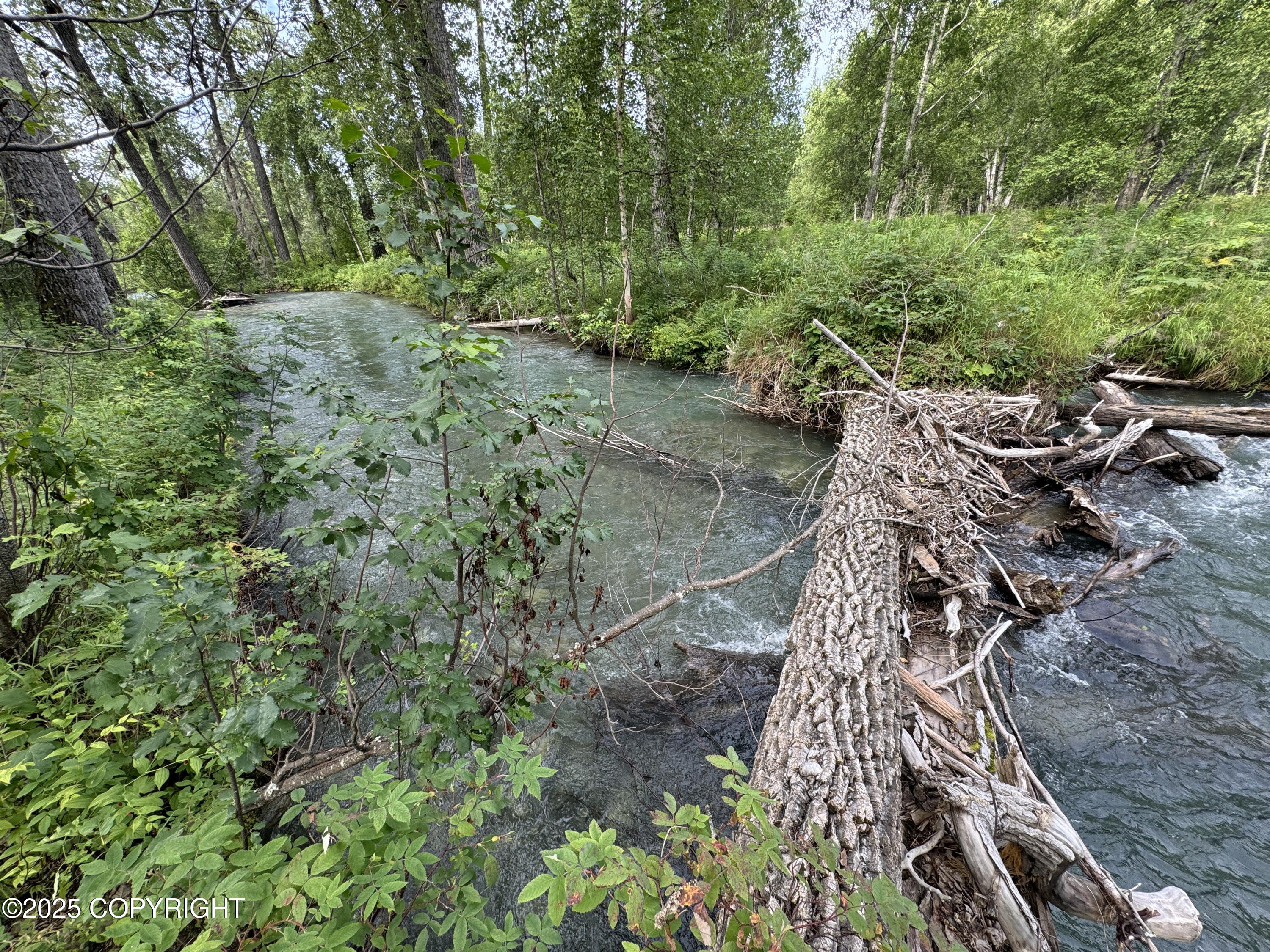 L5 B1 Little Susitna Park, Wasilla, Alaska image 44