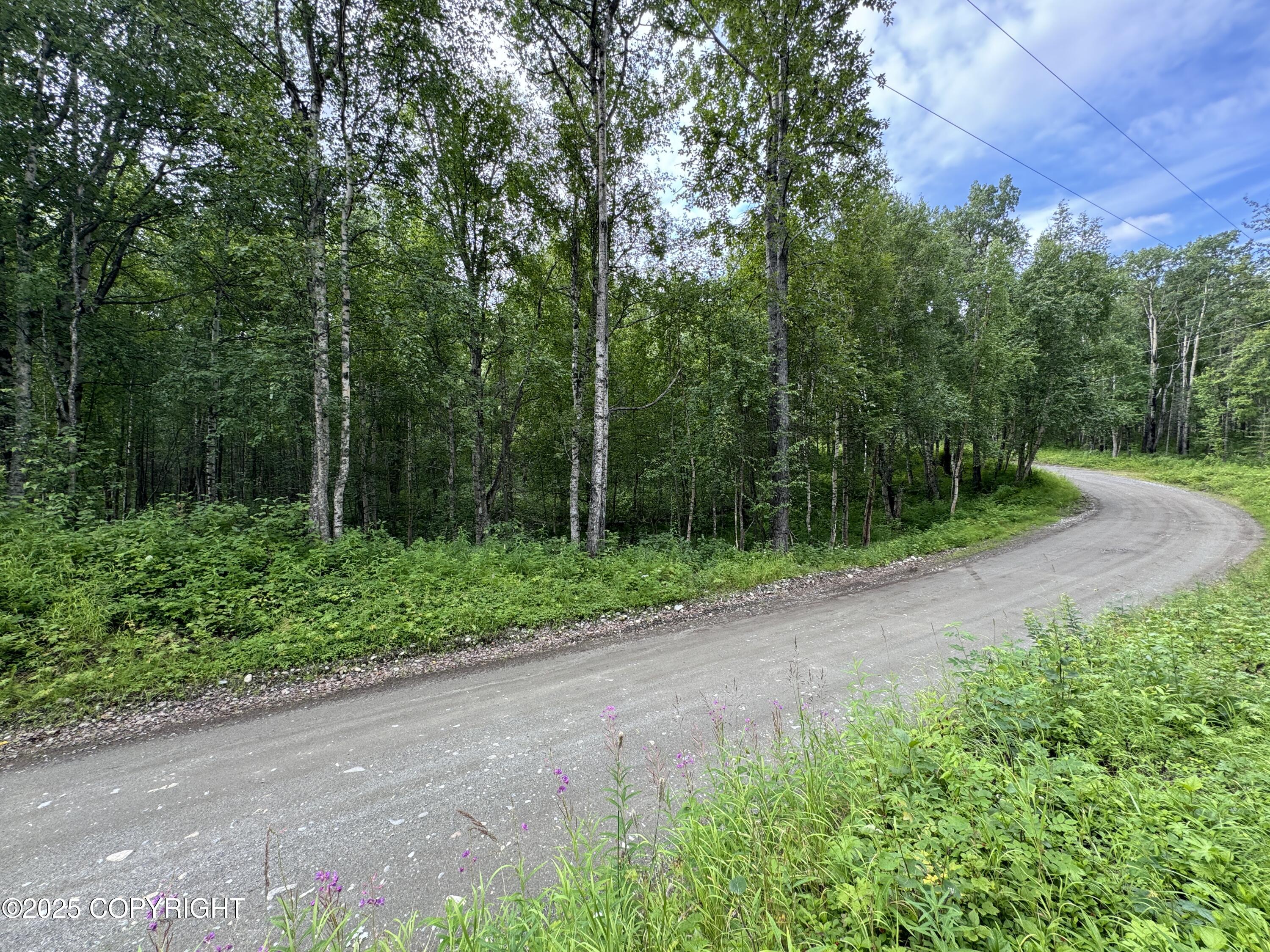 L5 B1 Little Susitna Park, Wasilla, Alaska image 27
