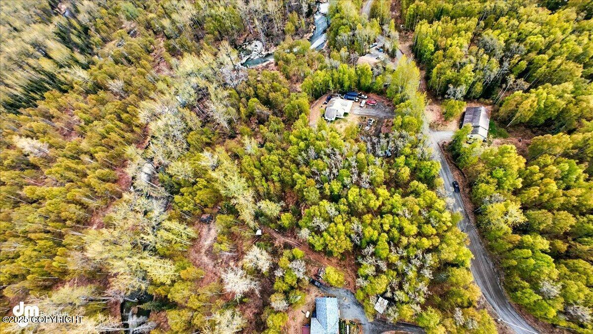 L5 B1 Little Susitna Park, Wasilla, Alaska image 10