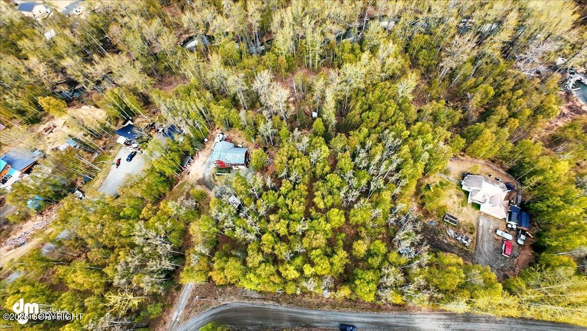 L5 B1 Little Susitna Park, Wasilla, Alaska image 9