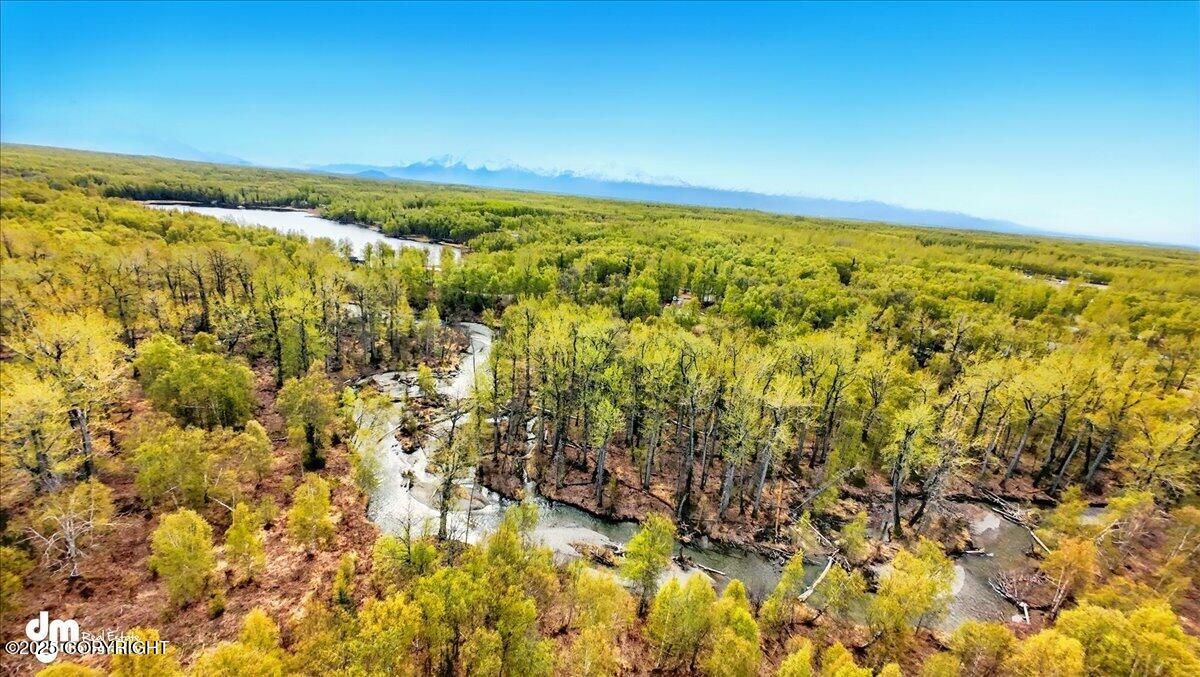 L5 B1 Little Susitna Park, Wasilla, Alaska image 3