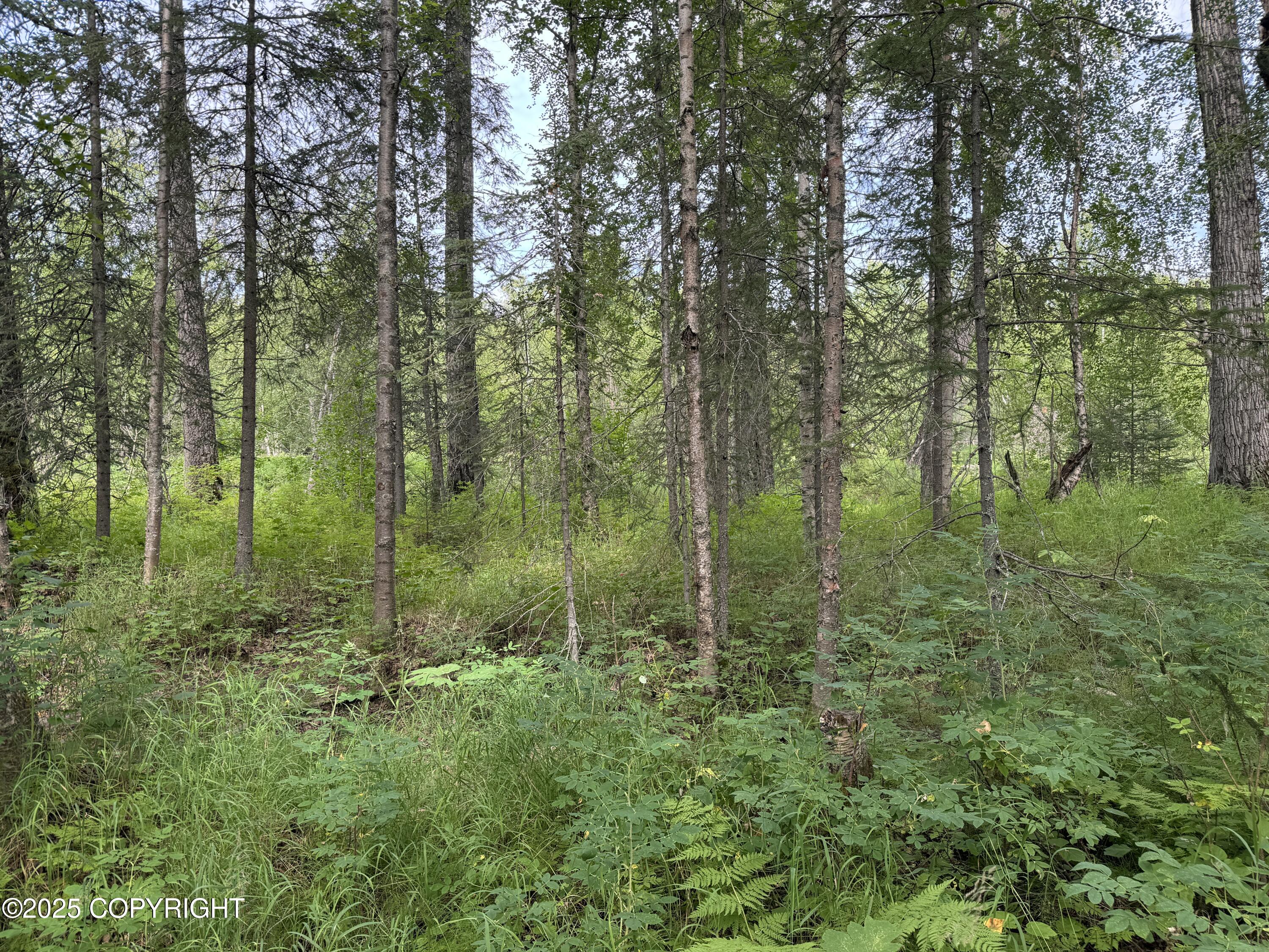 L5 B1 Little Susitna Park, Wasilla, Alaska image 49