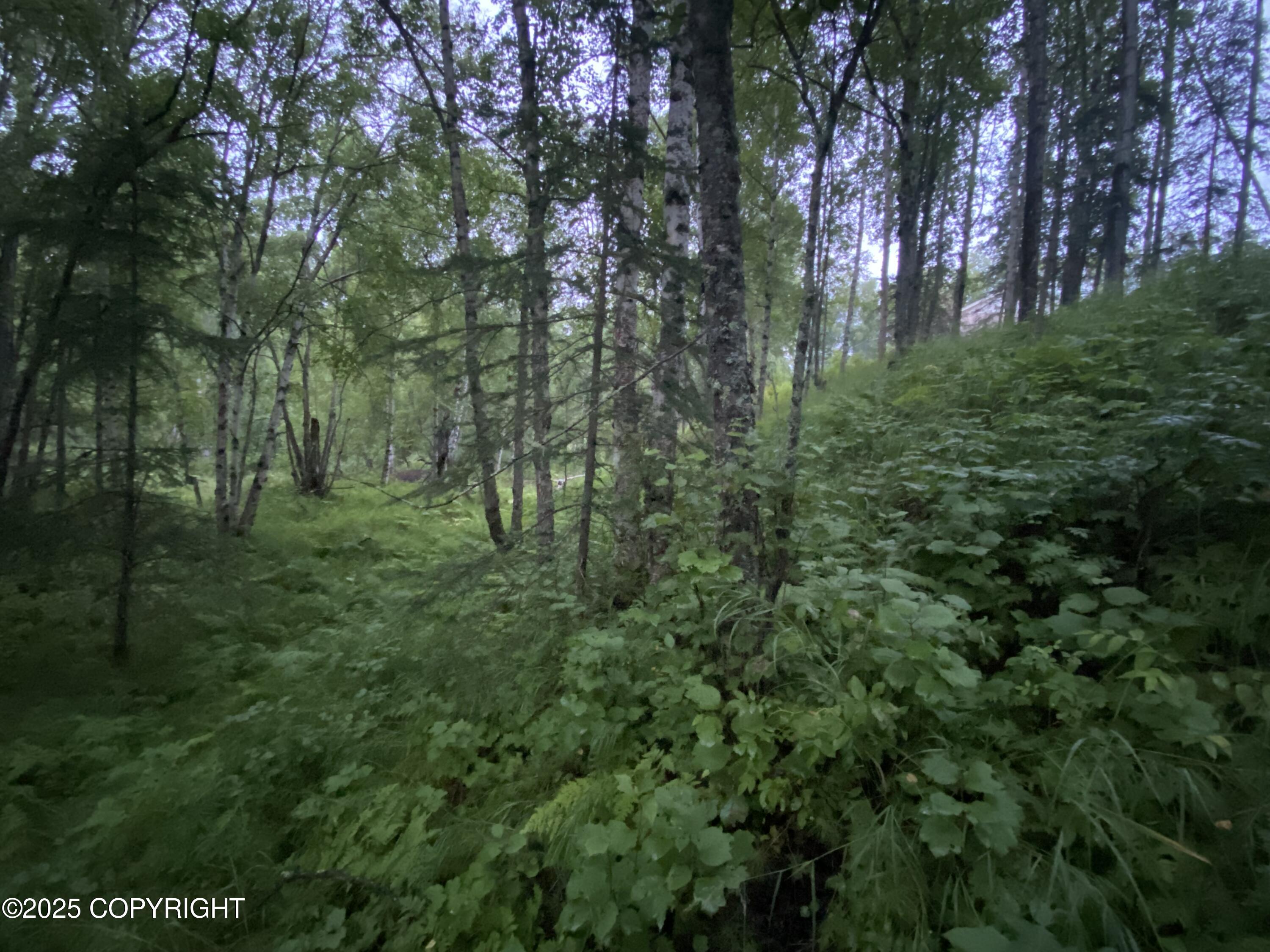 L5 B1 Little Susitna Park, Wasilla, Alaska image 50