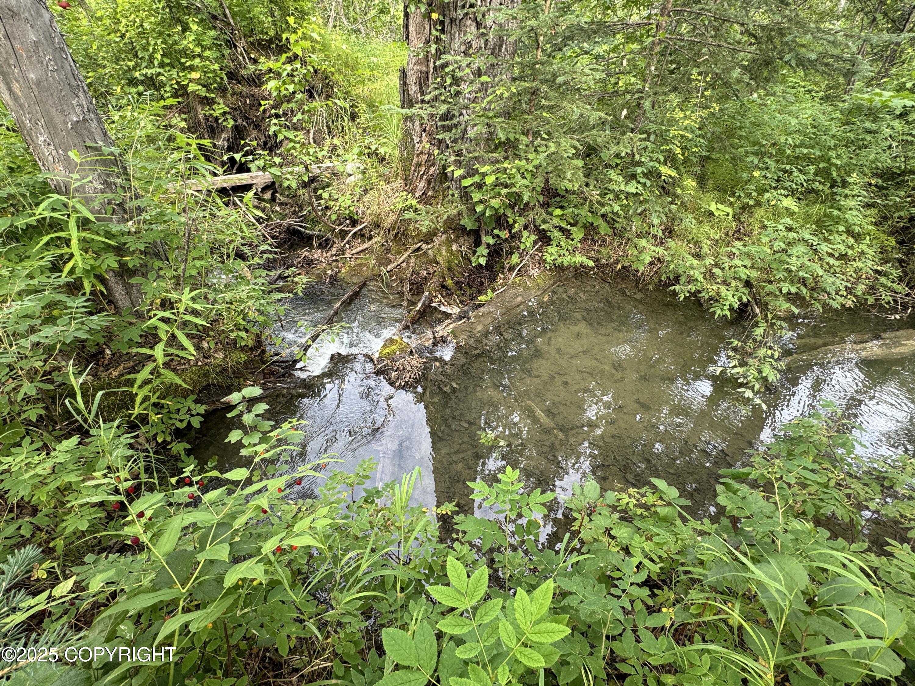 L5 B1 Little Susitna Park, Wasilla, Alaska image 38