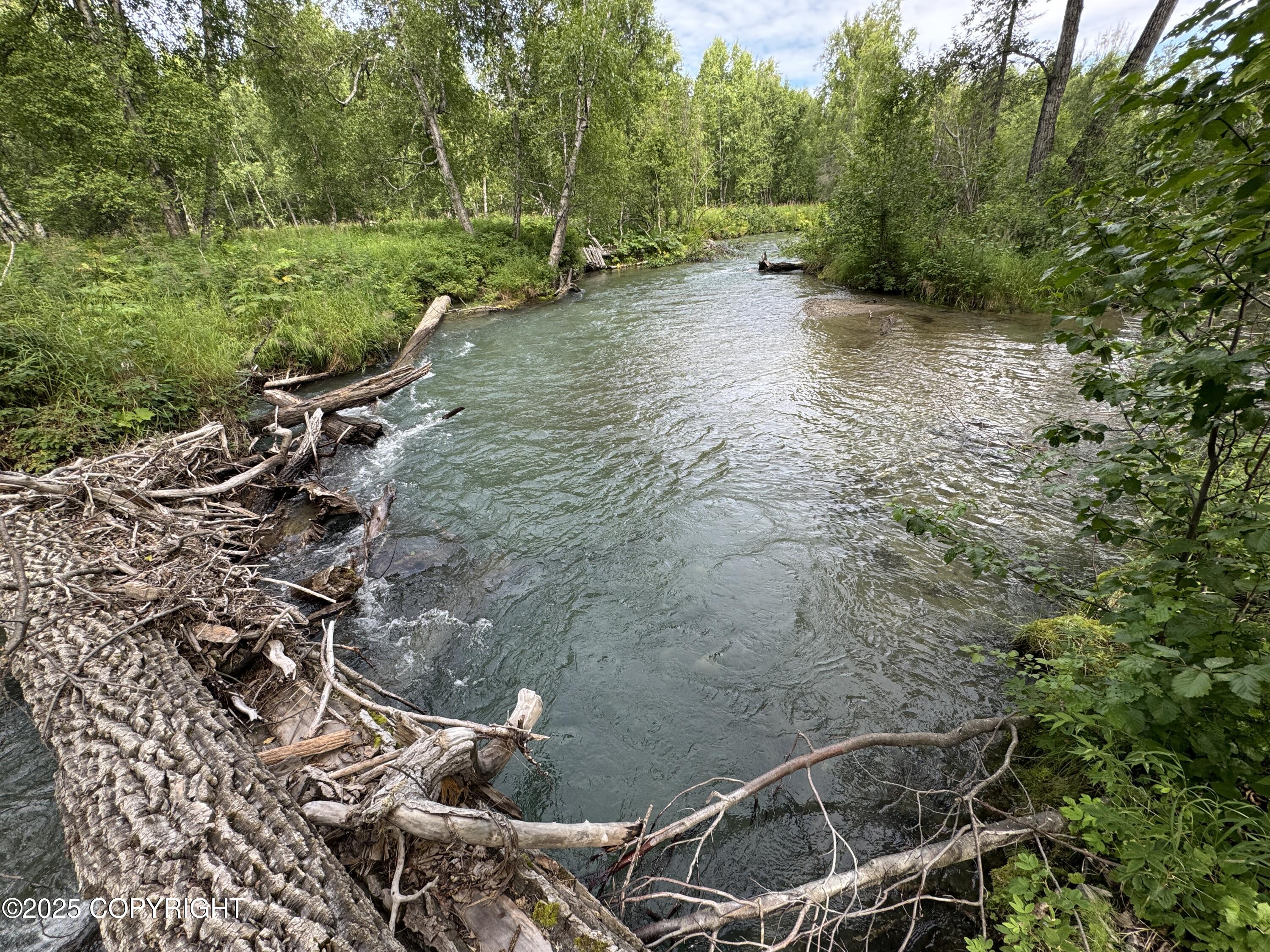 L5 B1 Little Susitna Park, Wasilla, Alaska image 43