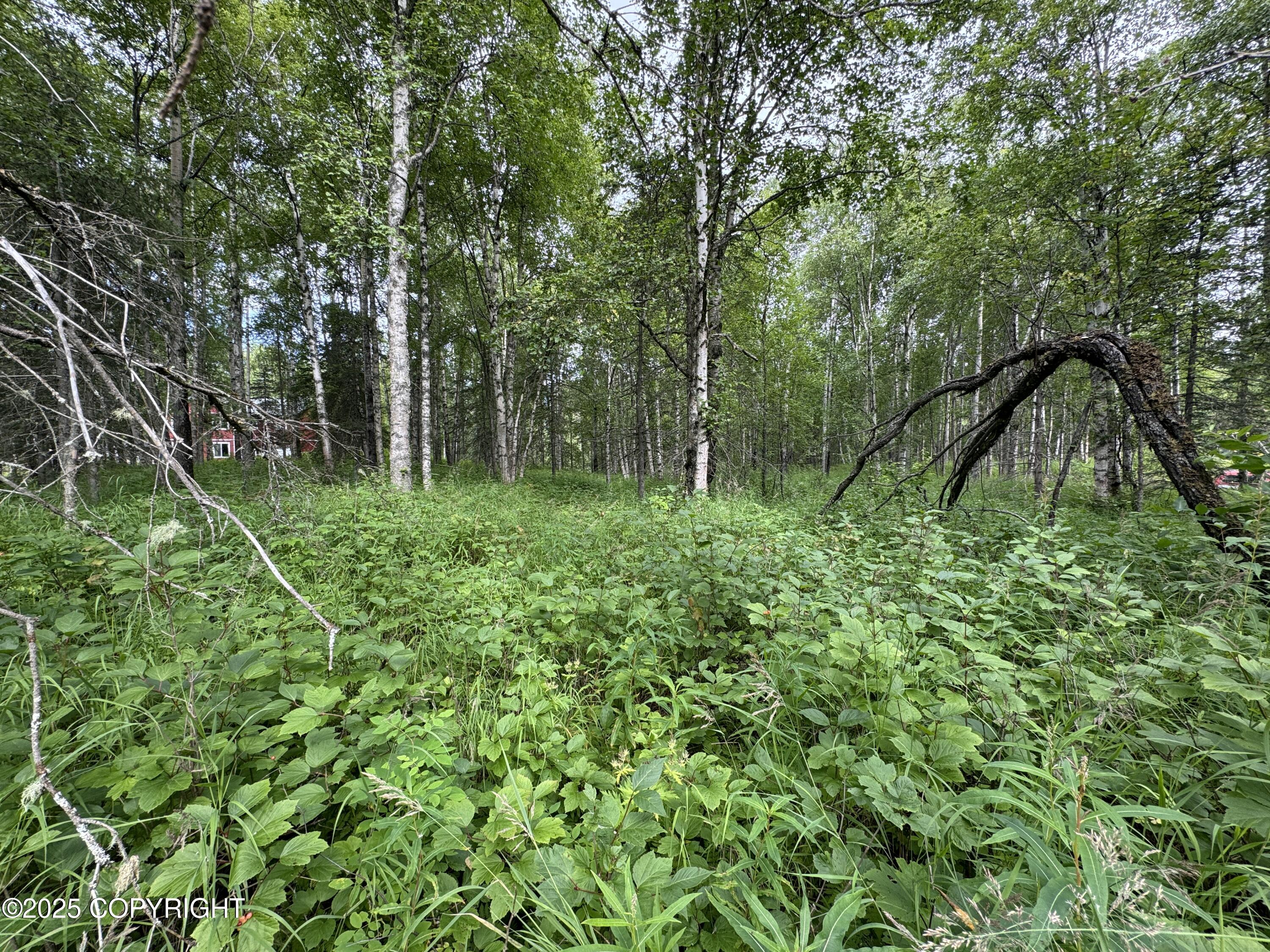 L5 B1 Little Susitna Park, Wasilla, Alaska image 28