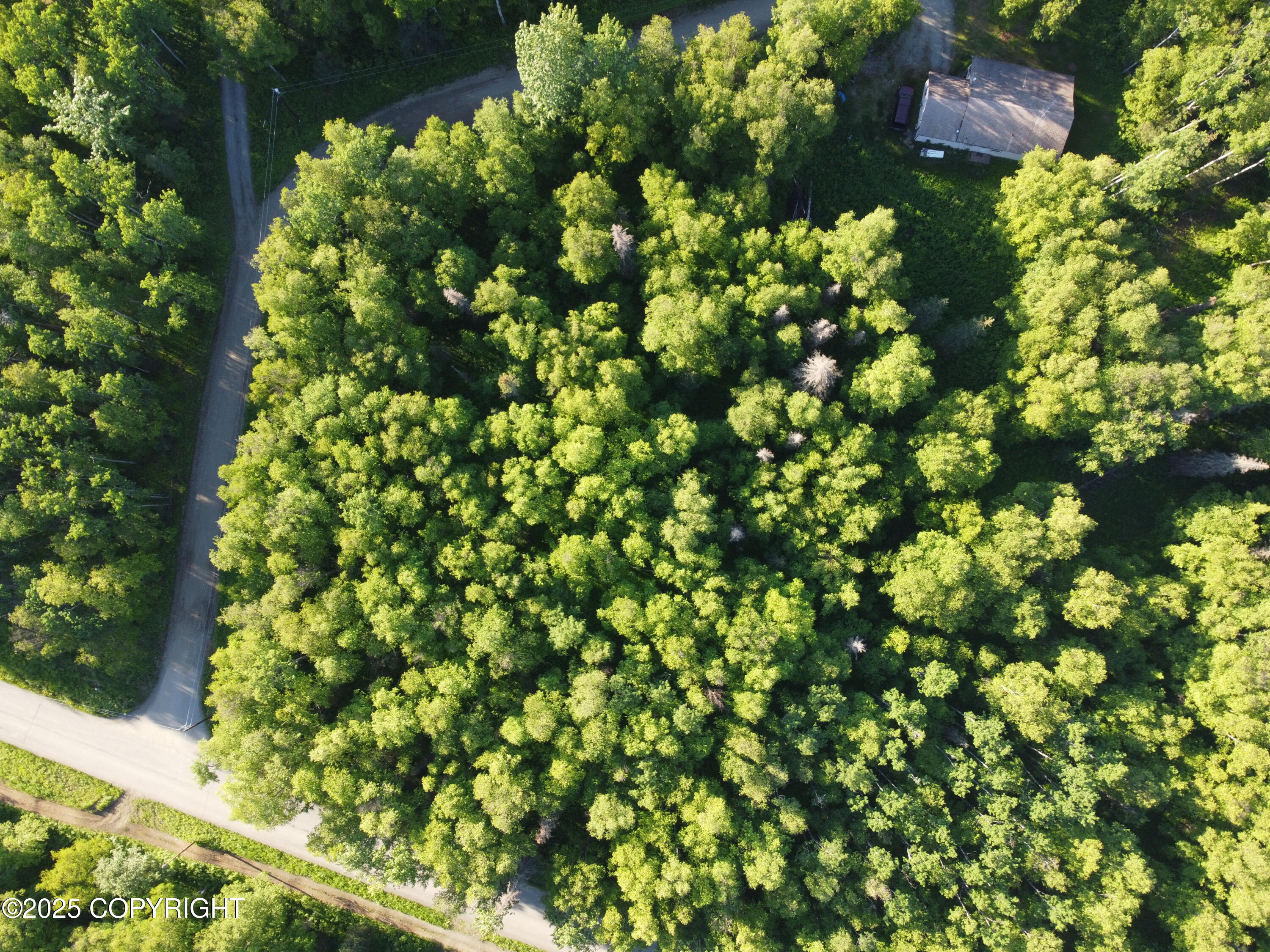 L5 B1 Little Susitna Park, Wasilla, Alaska image 20
