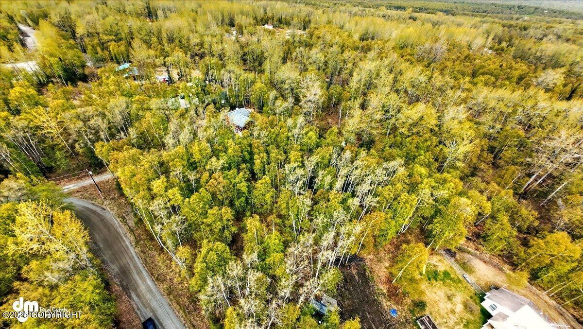 L5 B1 Little Susitna Park, Wasilla, Alaska image 6