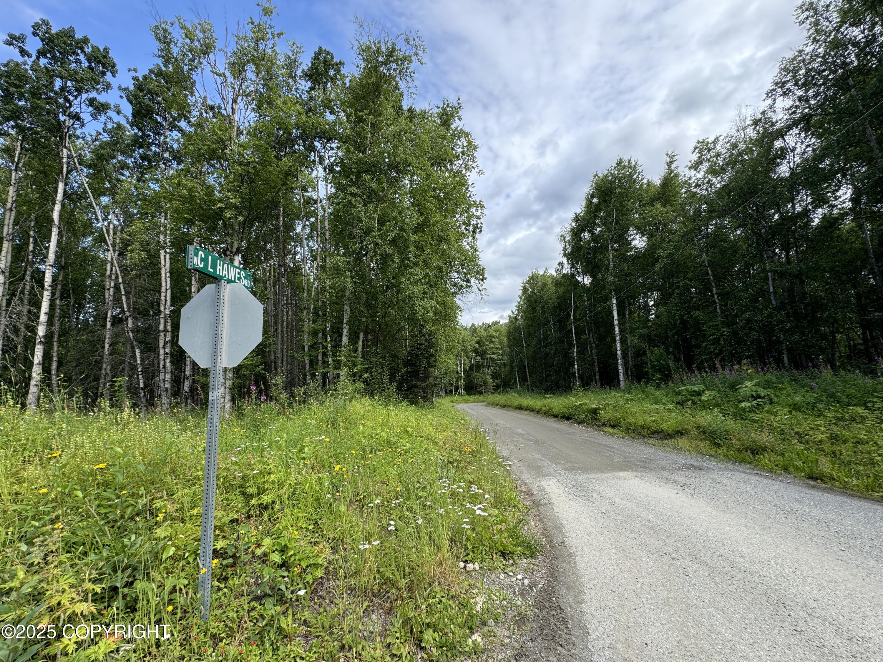 L5 B1 Little Susitna Park, Wasilla, Alaska image 32