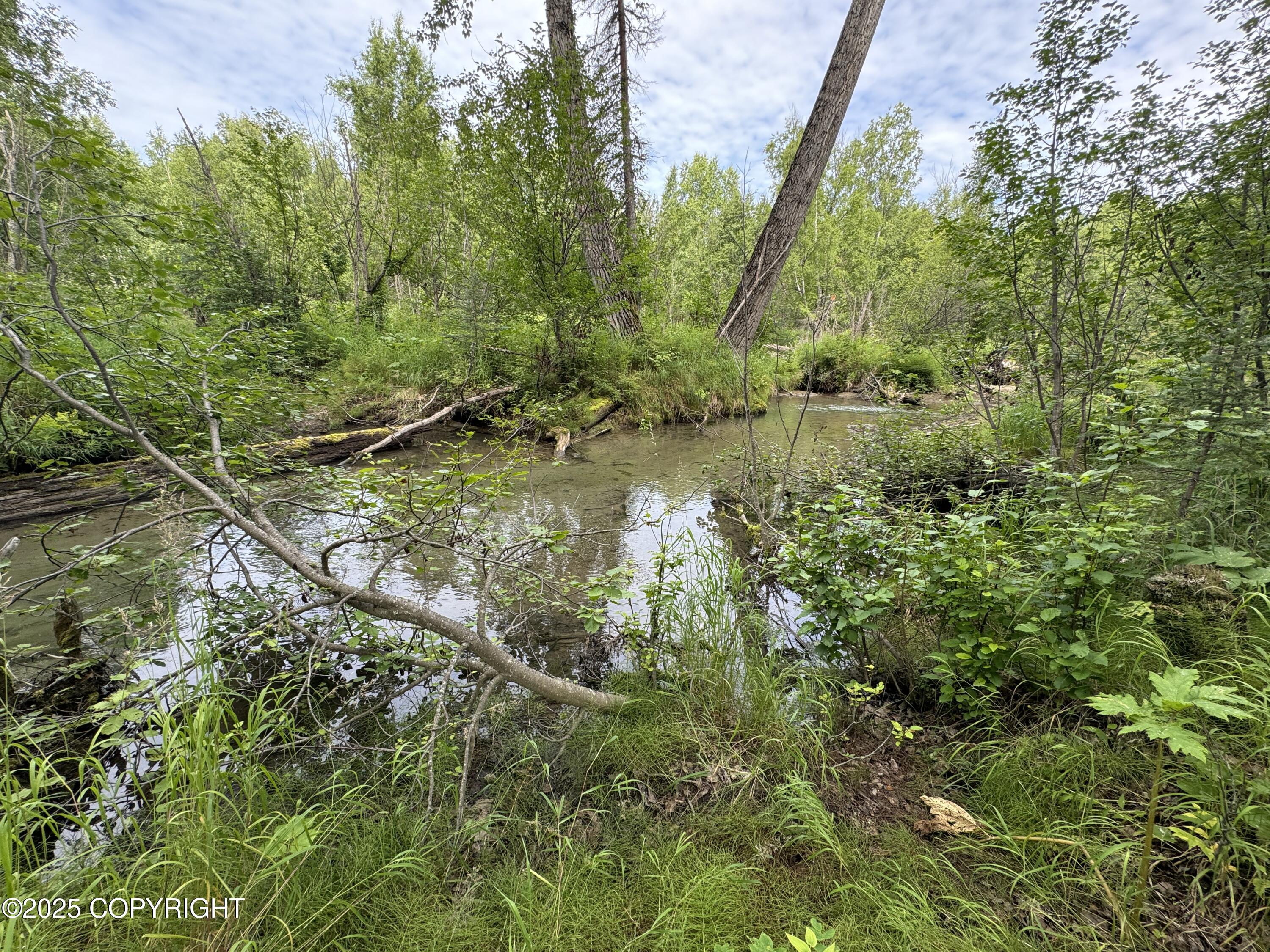 L5 B1 Little Susitna Park, Wasilla, Alaska image 40