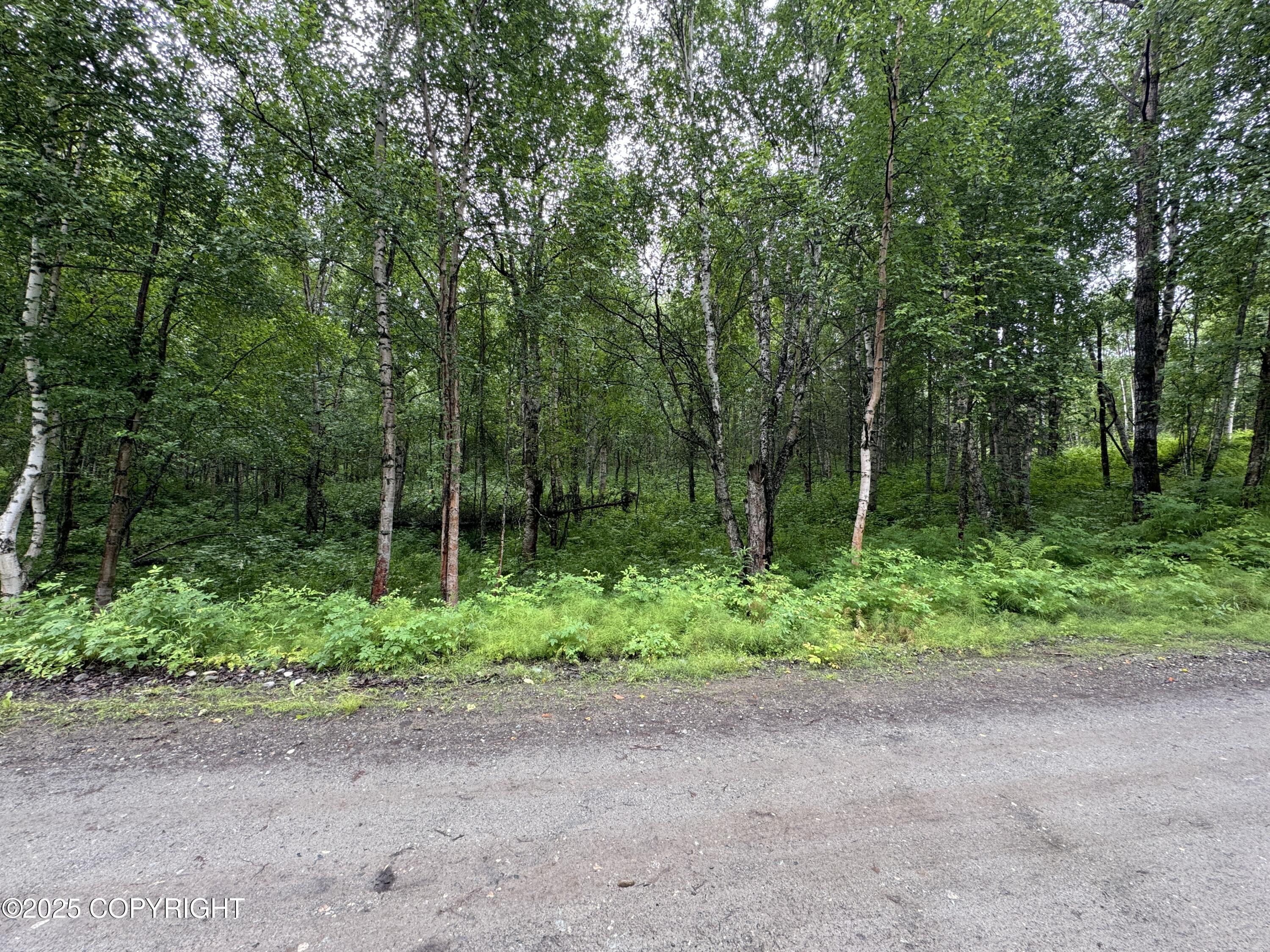 L5 B1 Little Susitna Park, Wasilla, Alaska image 33