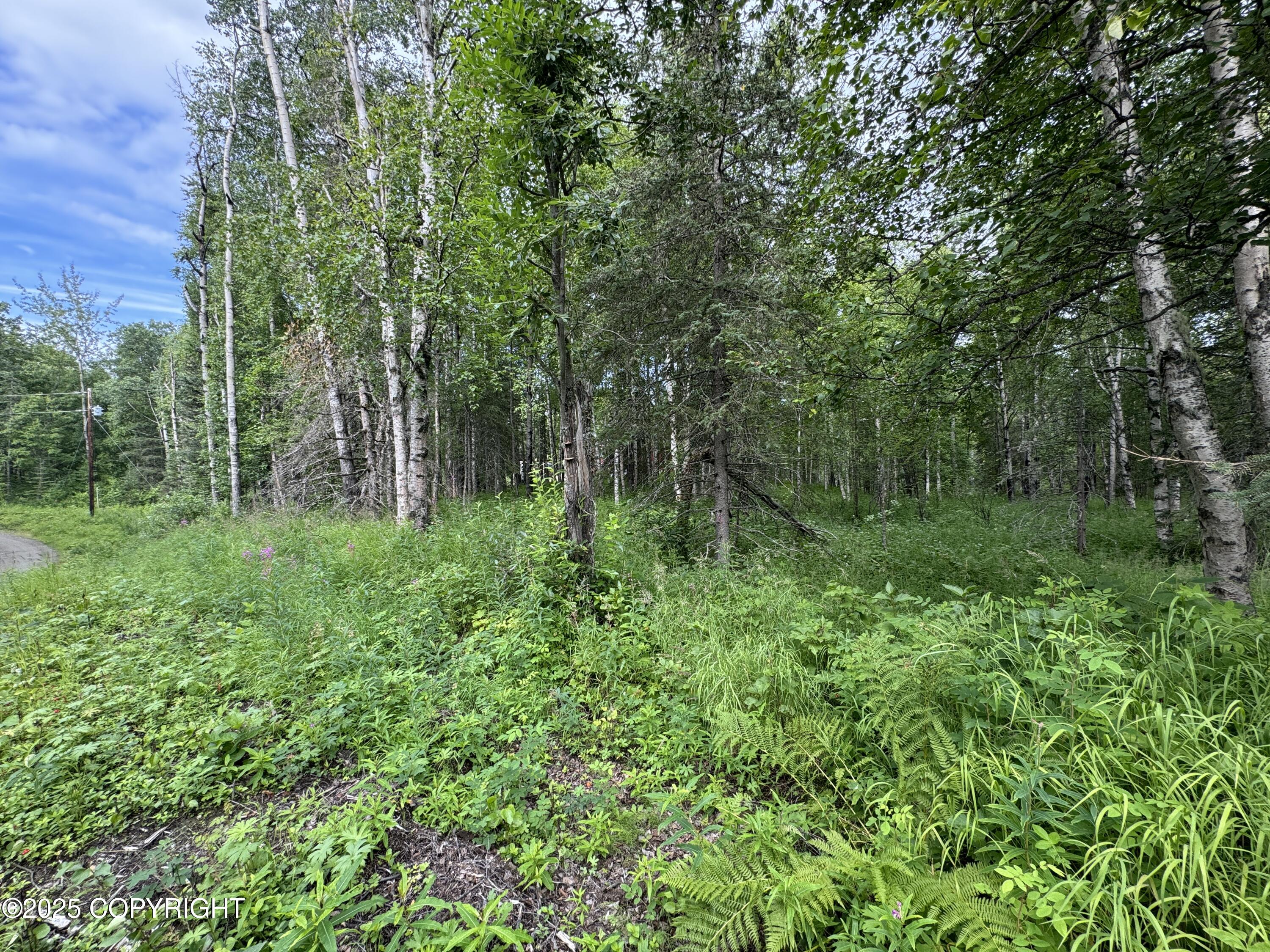 L5 B1 Little Susitna Park, Wasilla, Alaska image 26