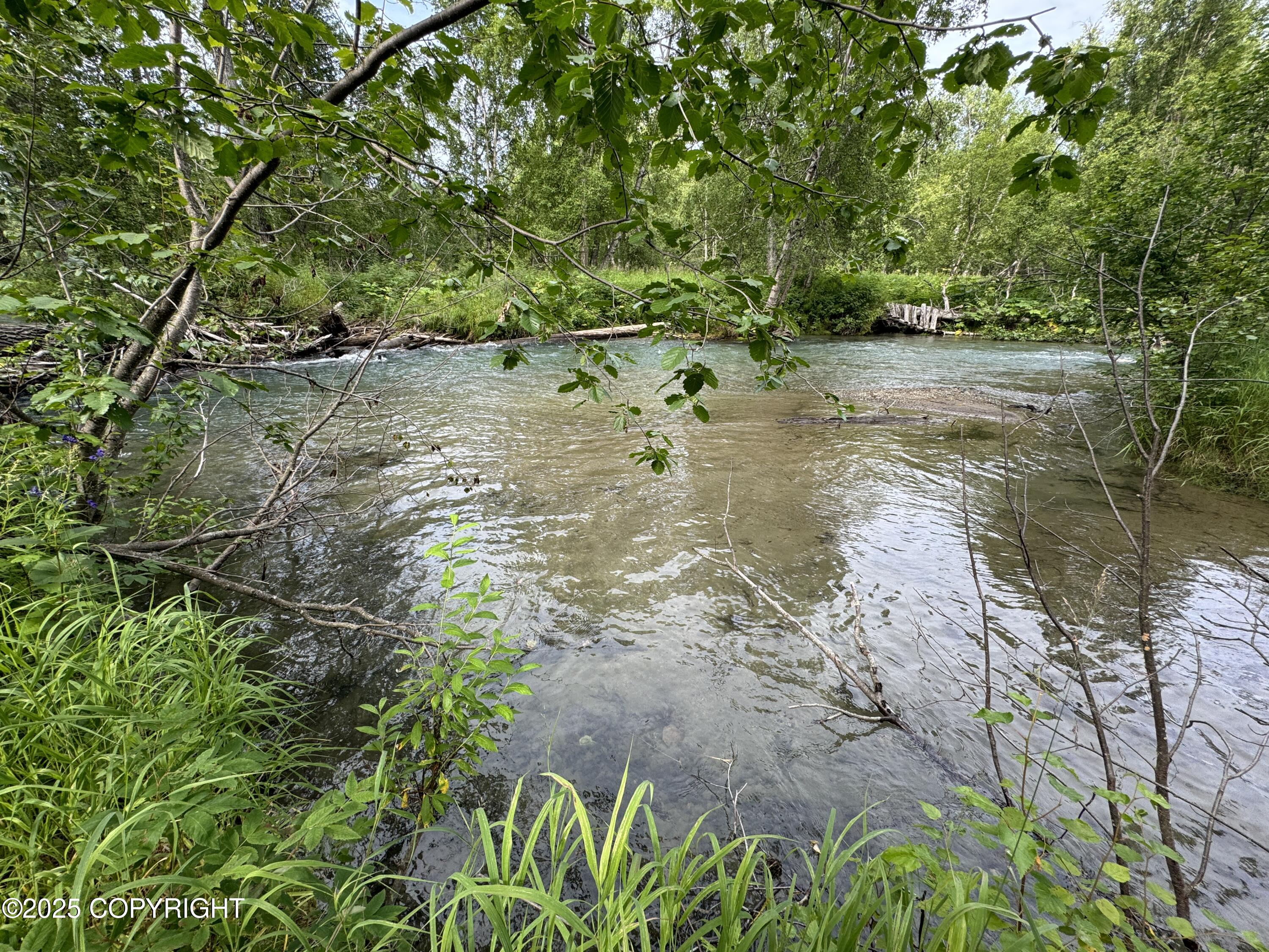L5 B1 Little Susitna Park, Wasilla, Alaska image 41