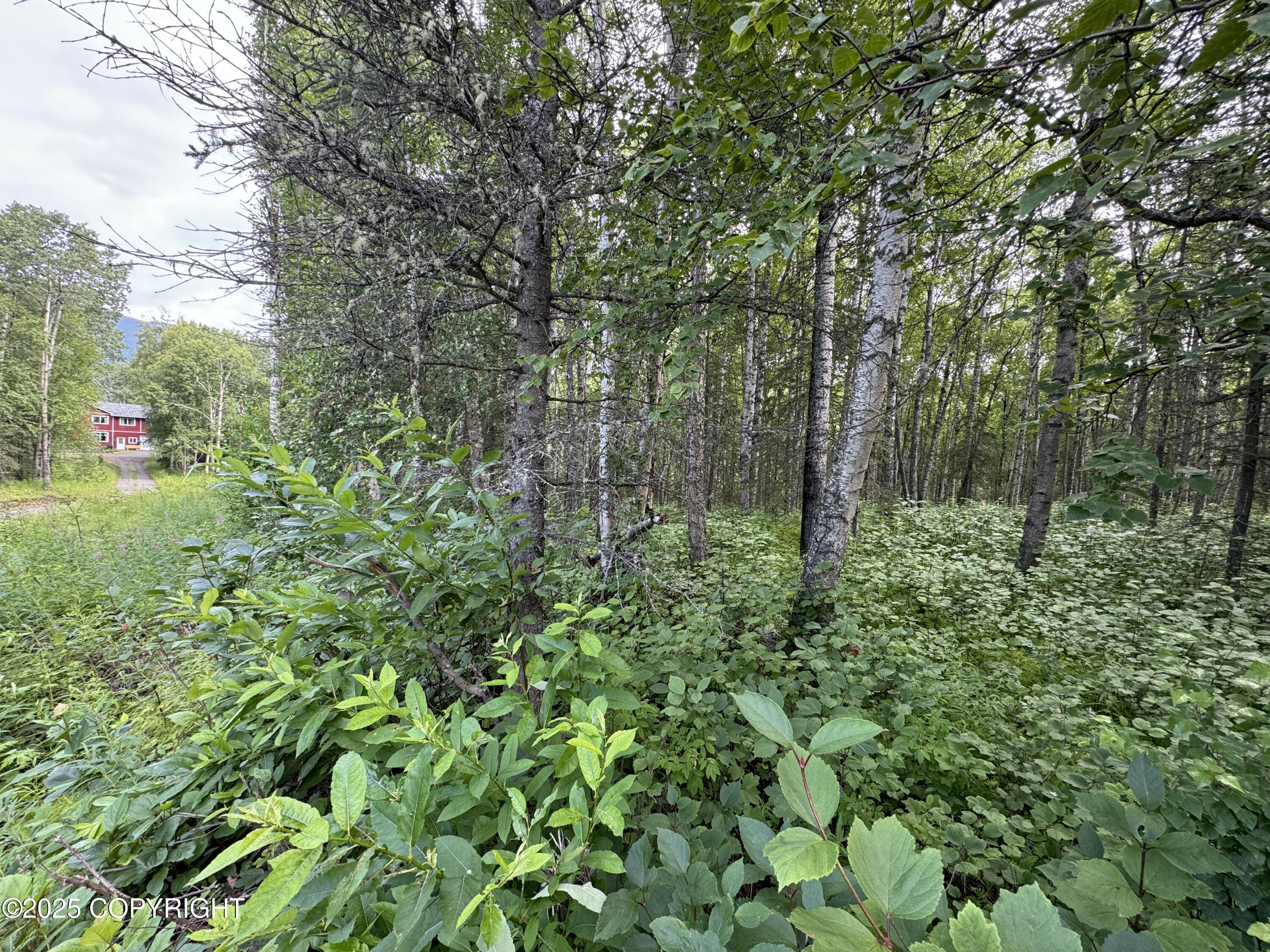 L5 B1 Little Susitna Park, Wasilla, Alaska image 30