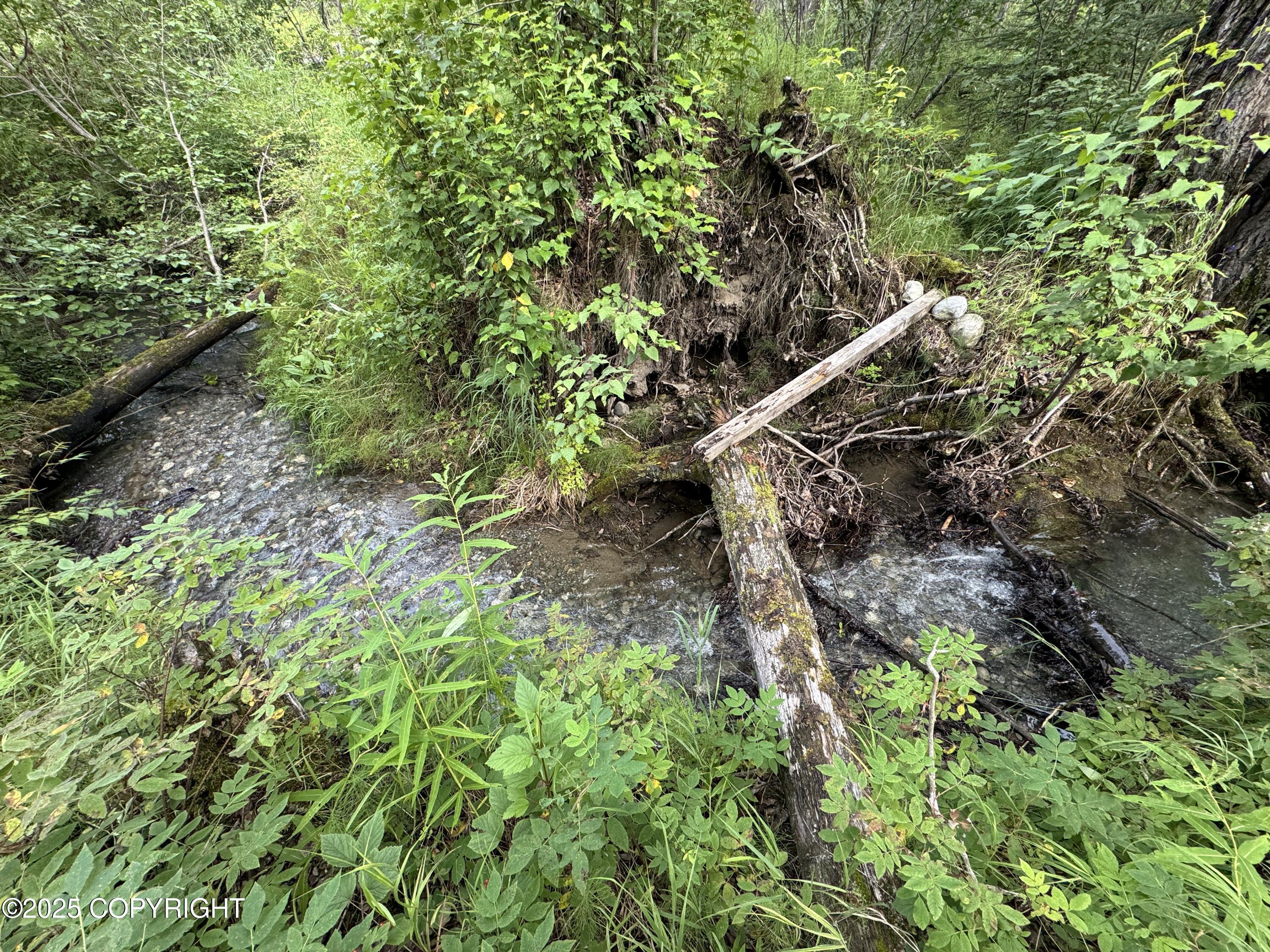 L5 B1 Little Susitna Park, Wasilla, Alaska image 39