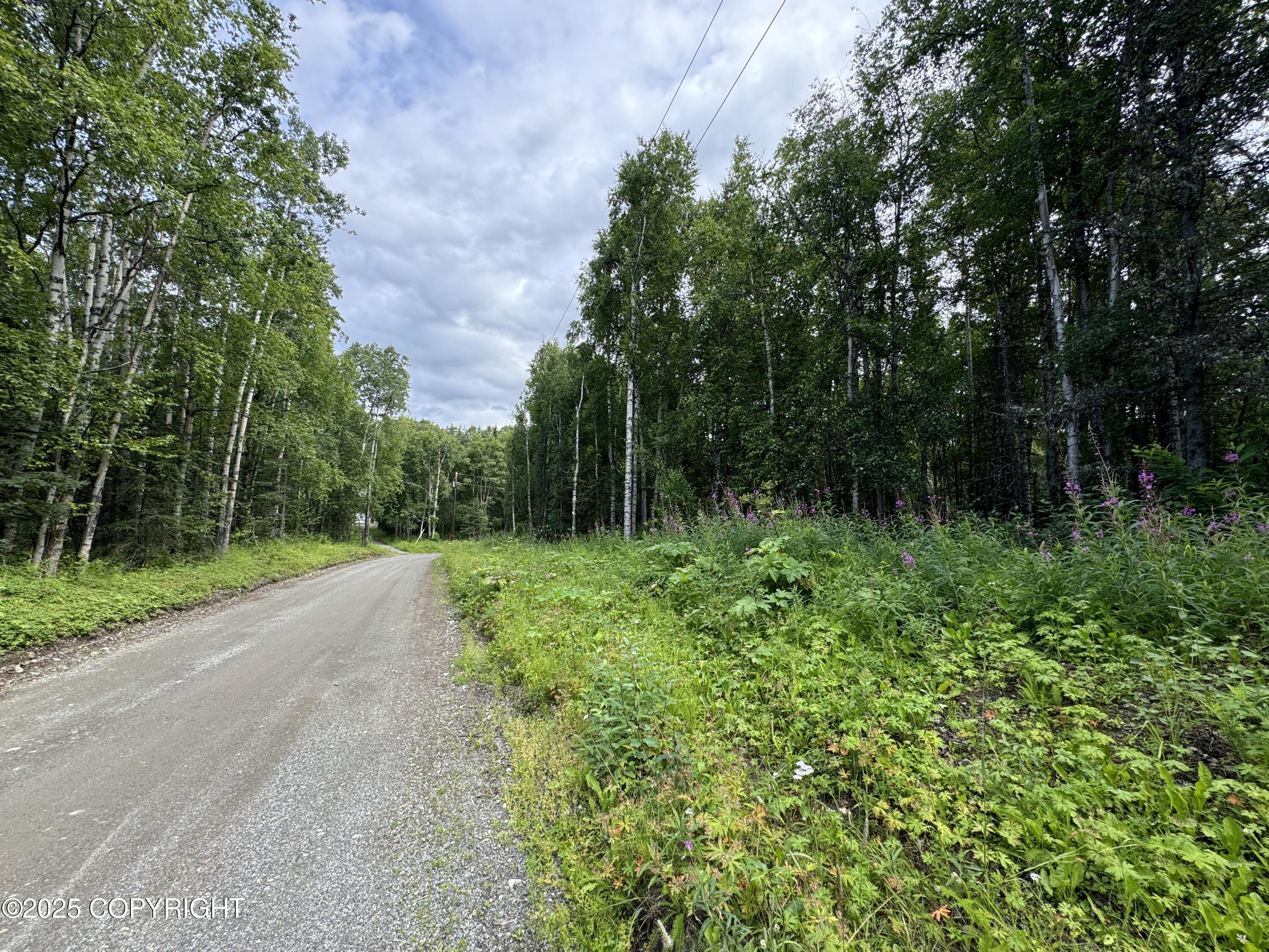 L5 B1 Little Susitna Park, Wasilla, Alaska image 29