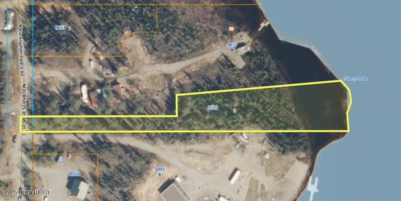 9599 N Buckingham Palace Road, Willow, Alaska image 14