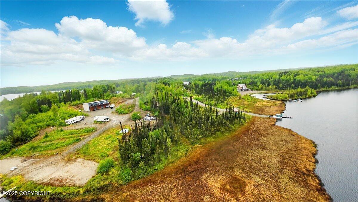 9599 N Buckingham Palace Road, Willow, Alaska image 6