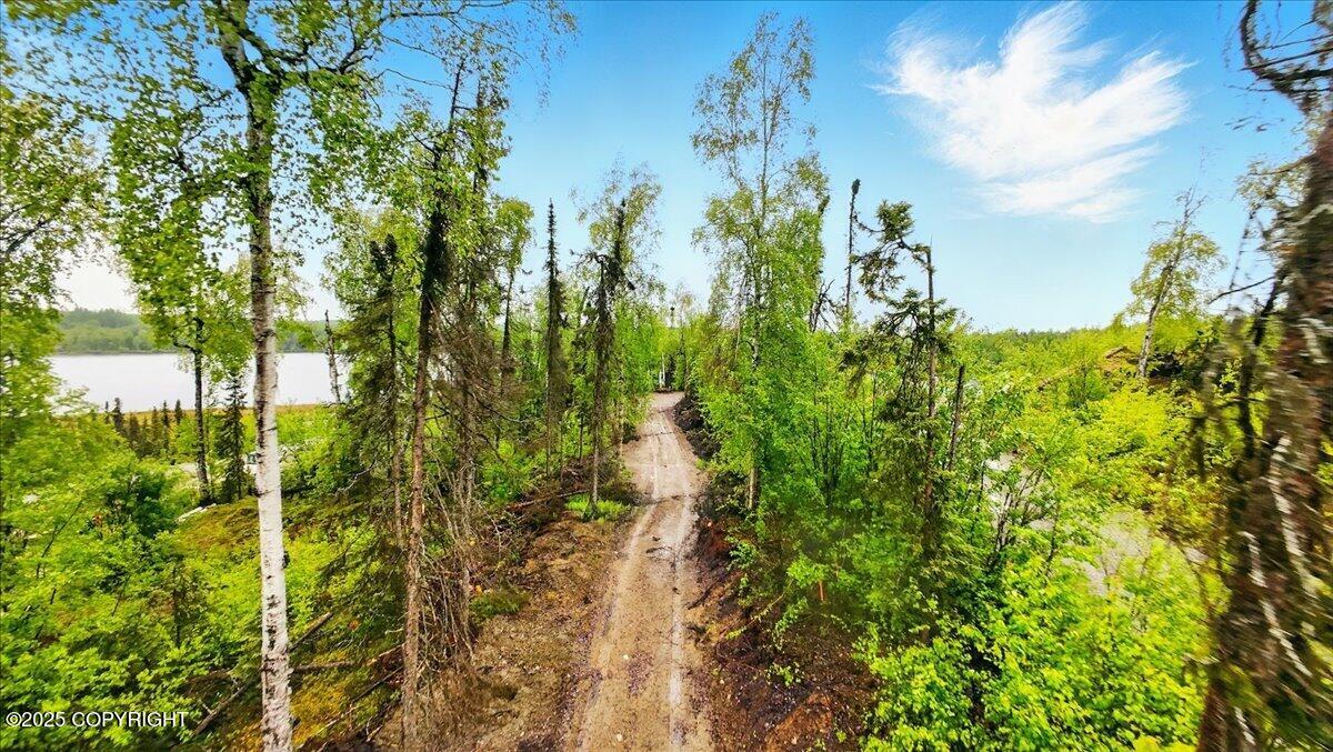 9599 N Buckingham Palace Road, Willow, Alaska image 7