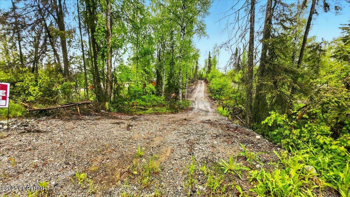 9599 N Buckingham Palace Road, Willow, Alaska image 4