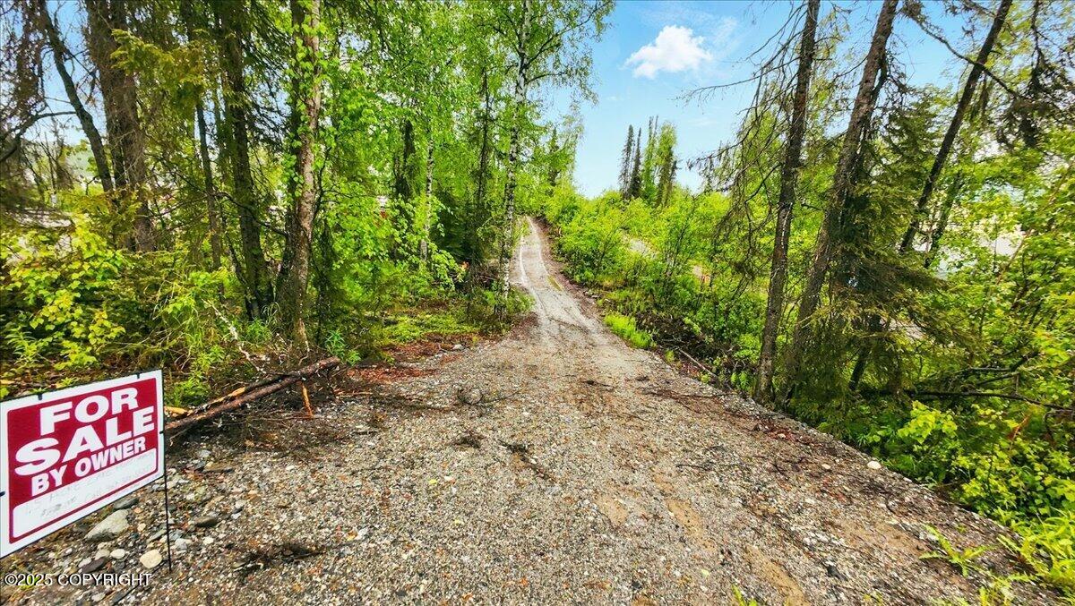 9599 N Buckingham Palace Road, Willow, Alaska image 10