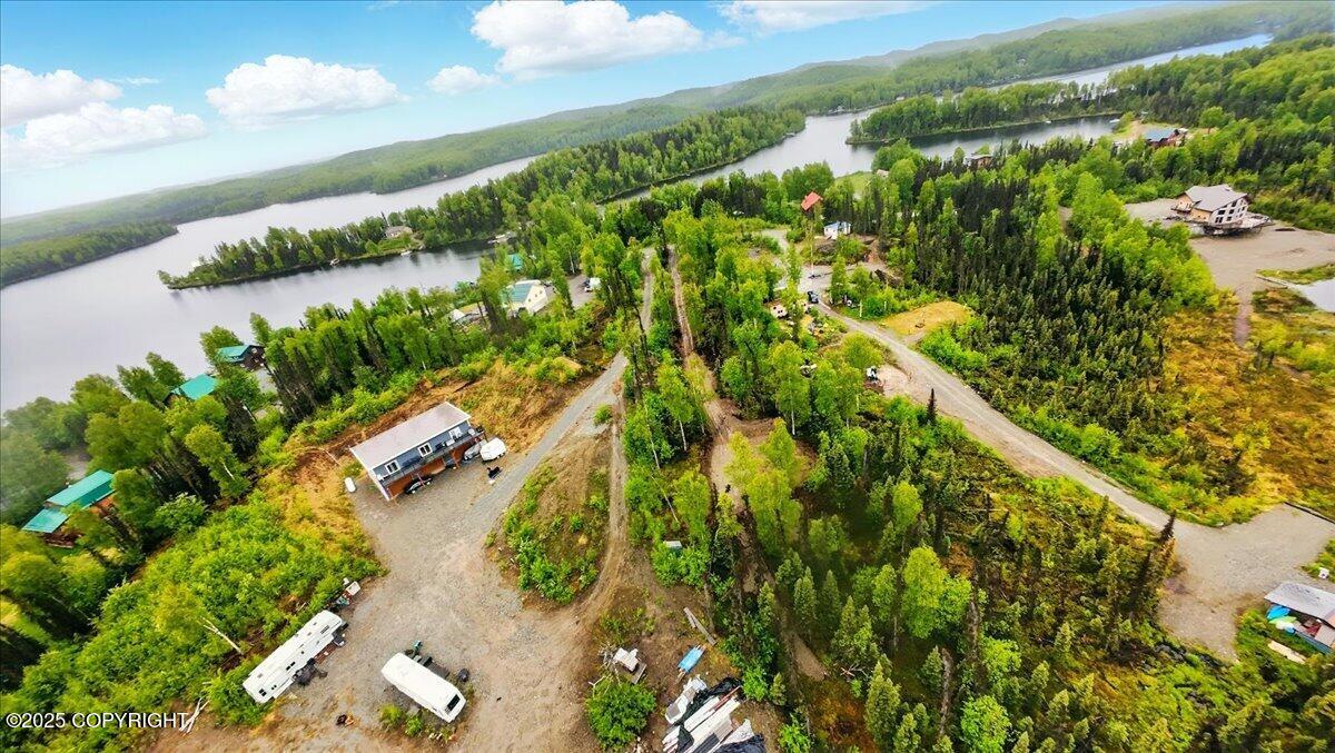 9599 N Buckingham Palace Road, Willow, Alaska image 3
