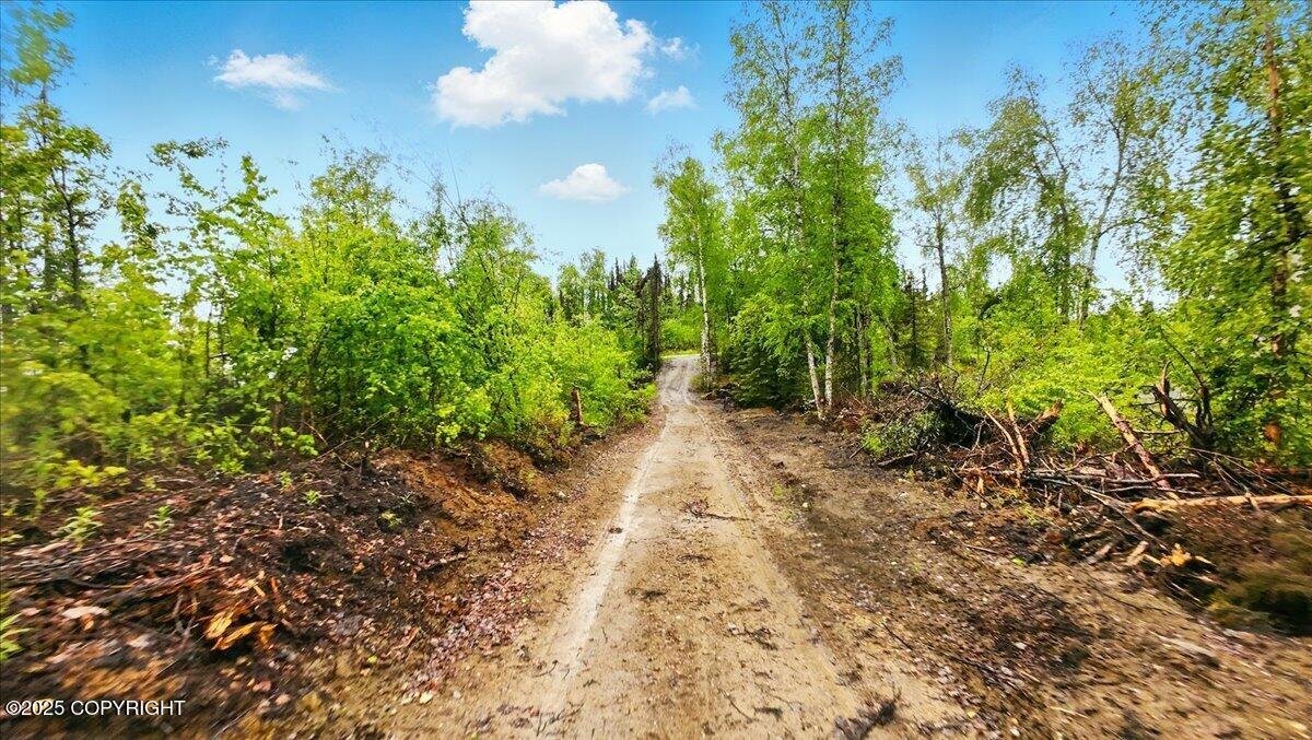 9599 N Buckingham Palace Road, Willow, Alaska image 11