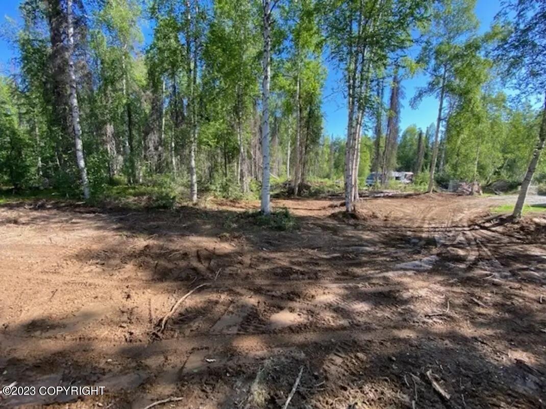 47150 S Bitin Drive, Willow, Alaska image 6